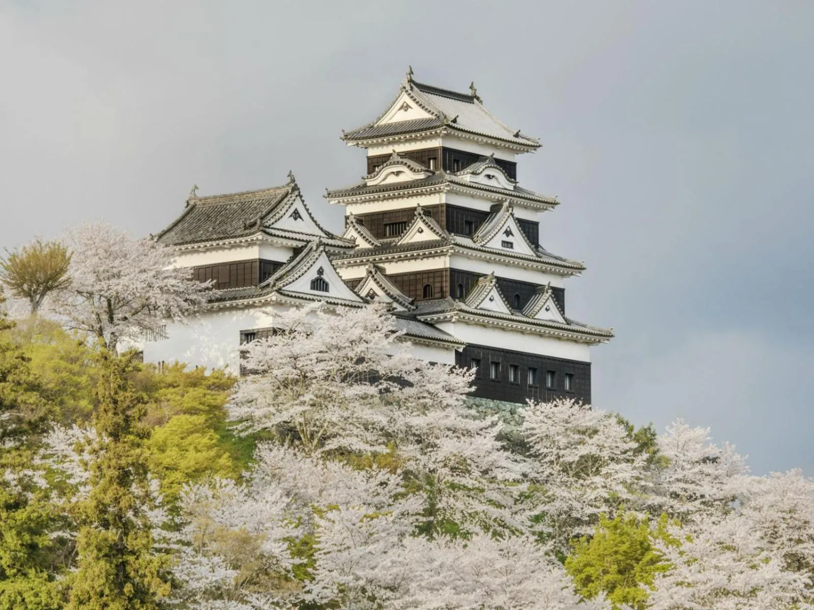 NIPPONIA HOTEL Ozu Castle Town