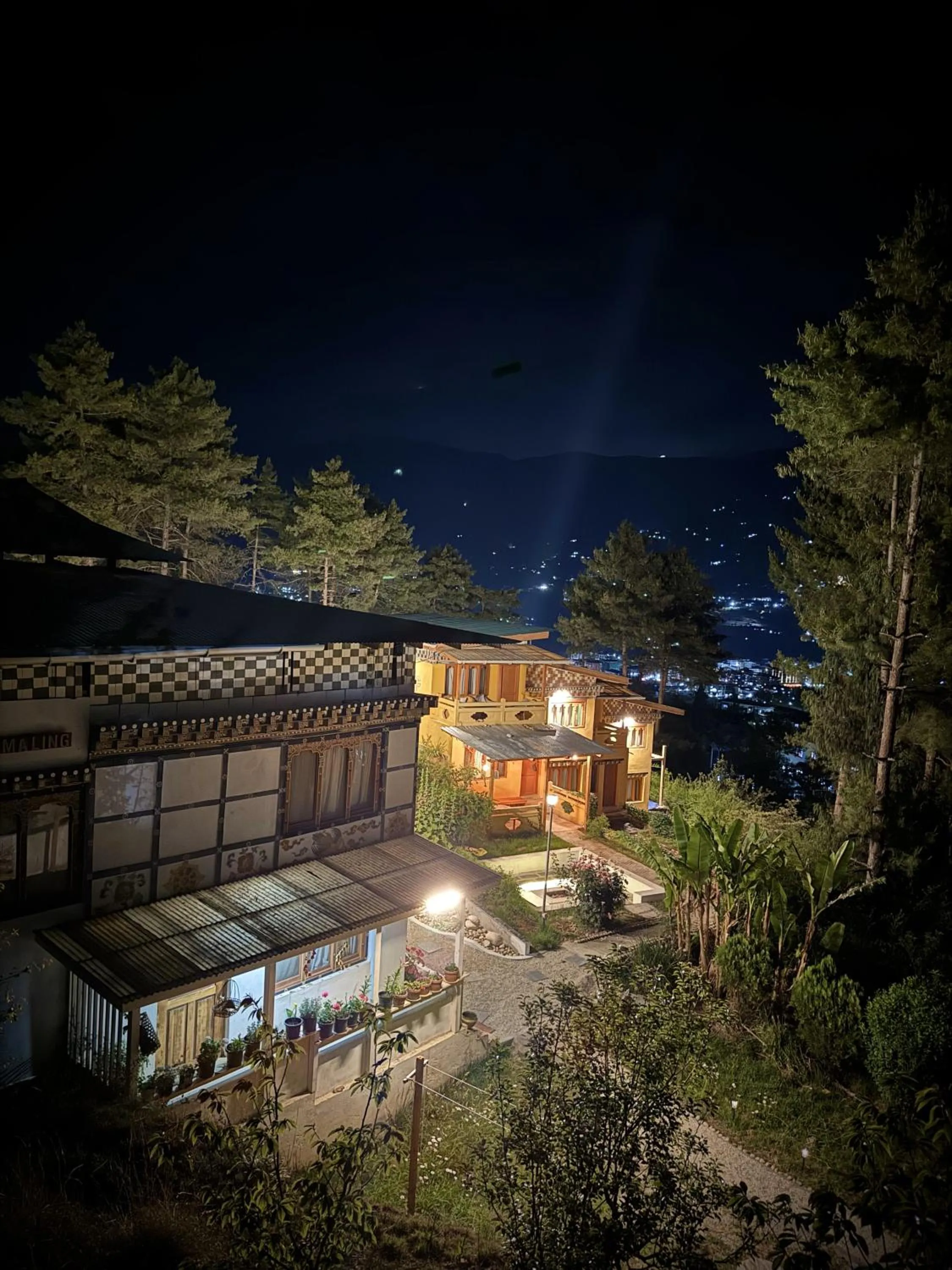 Dzi Pema