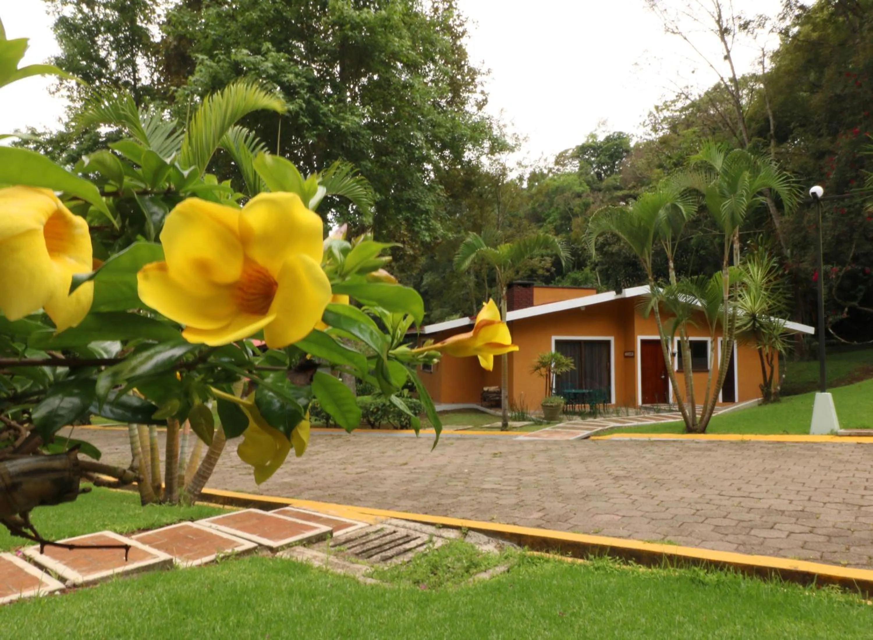 Garden in Mision Los Cocuyos Alta Montana