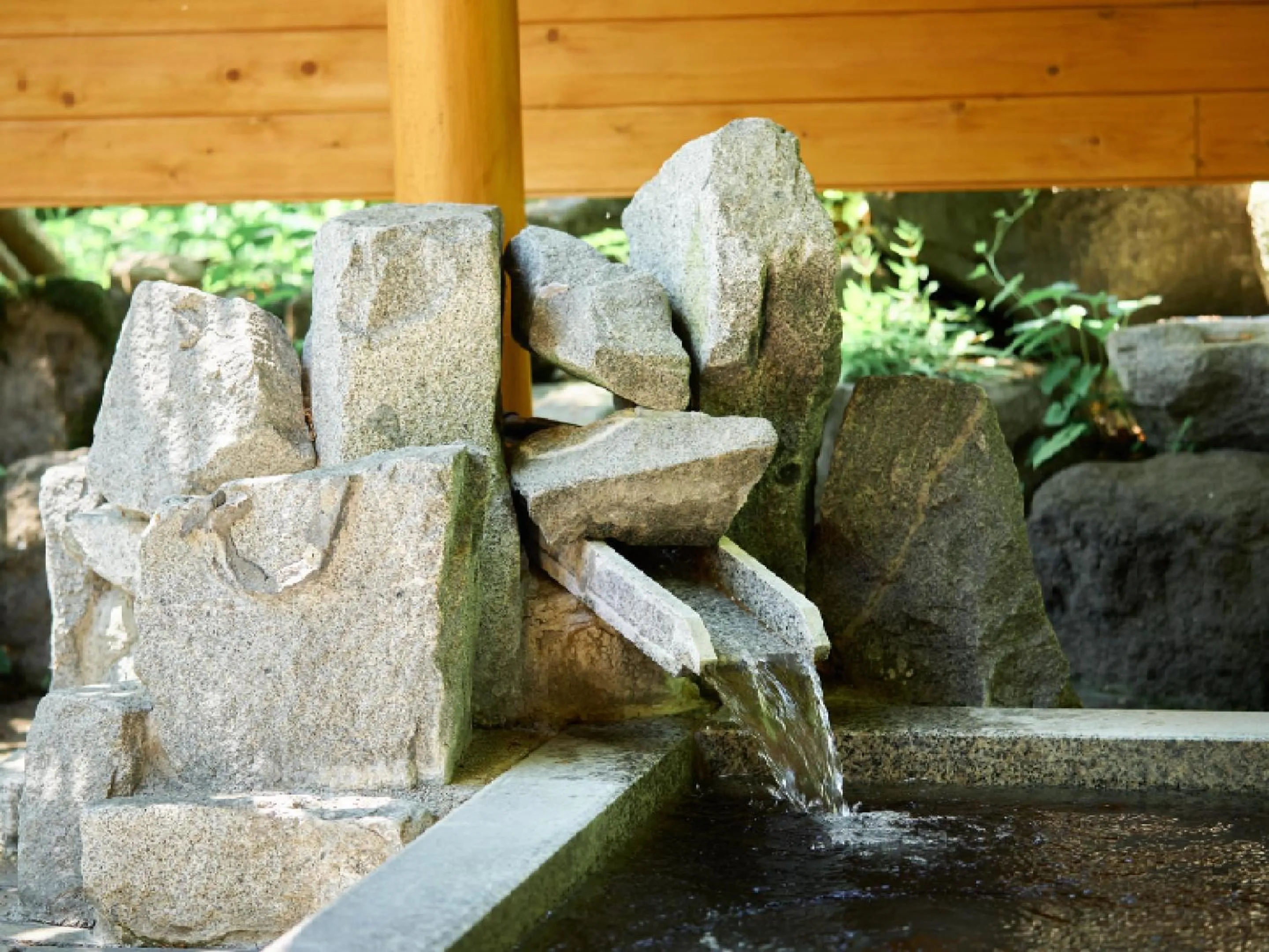 Hot Spring Bath in Pension Asanebou
