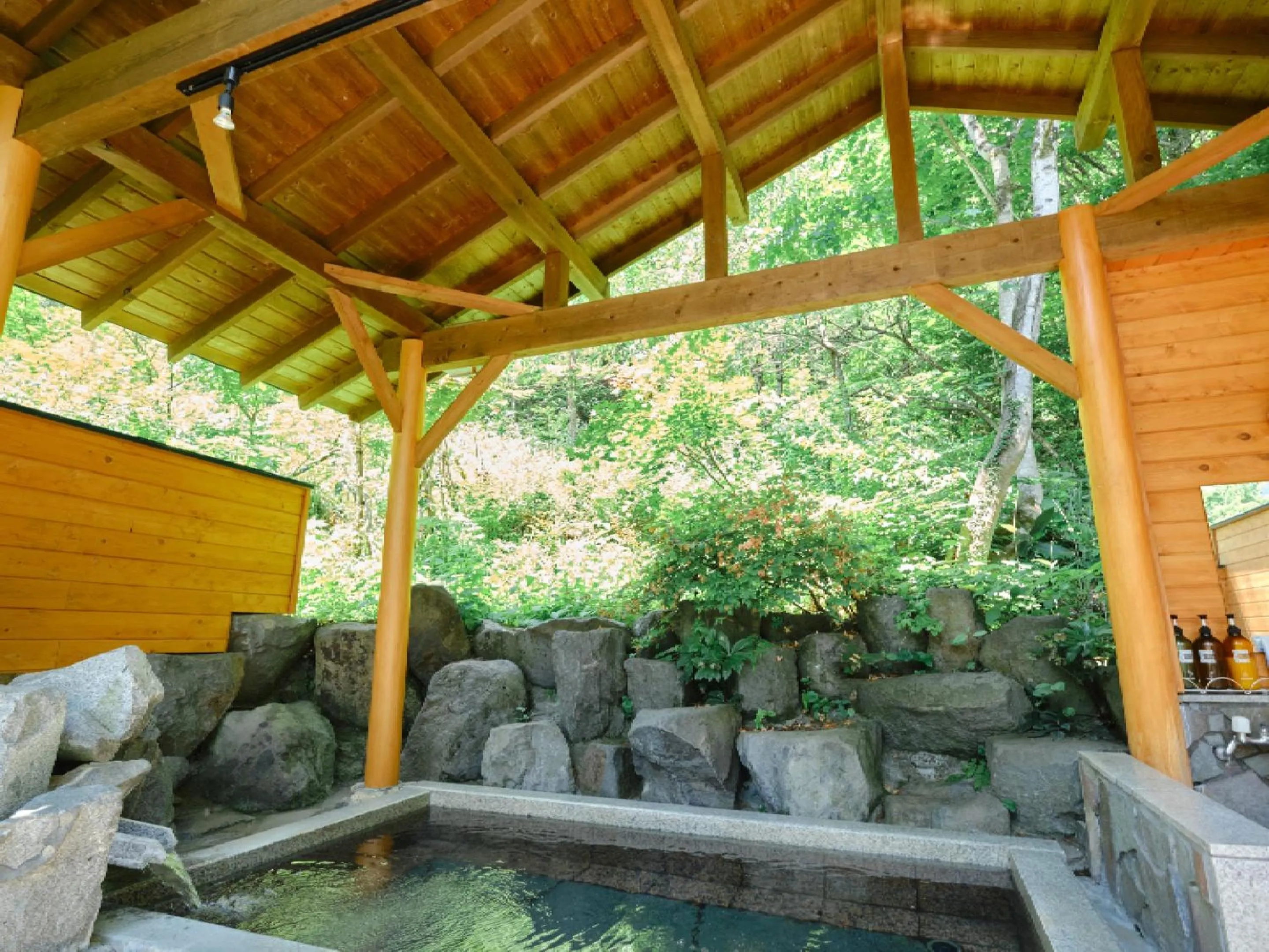 Hot Spring Bath in Pension Asanebou