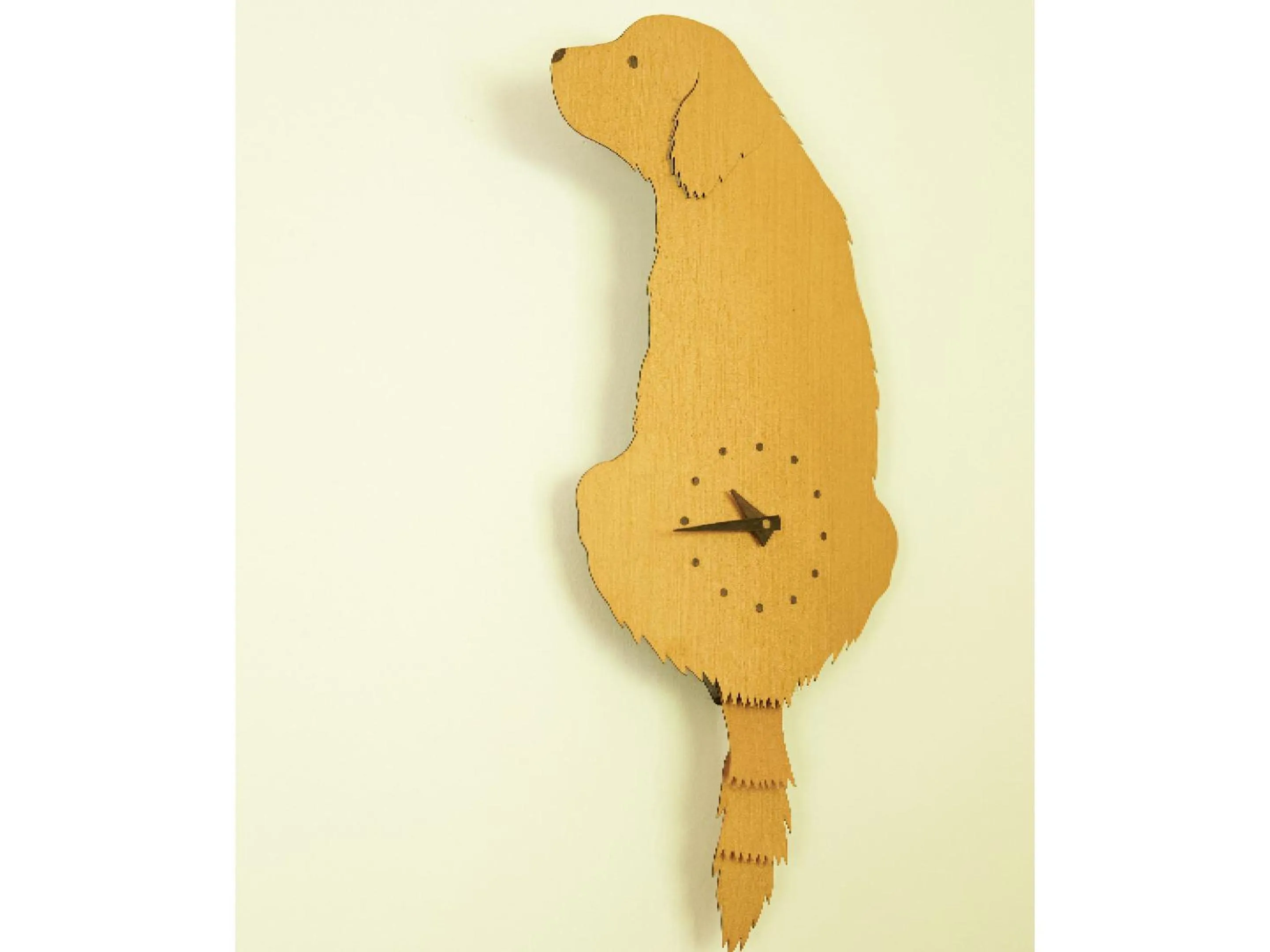 Area and facilities in Pension Asanebou