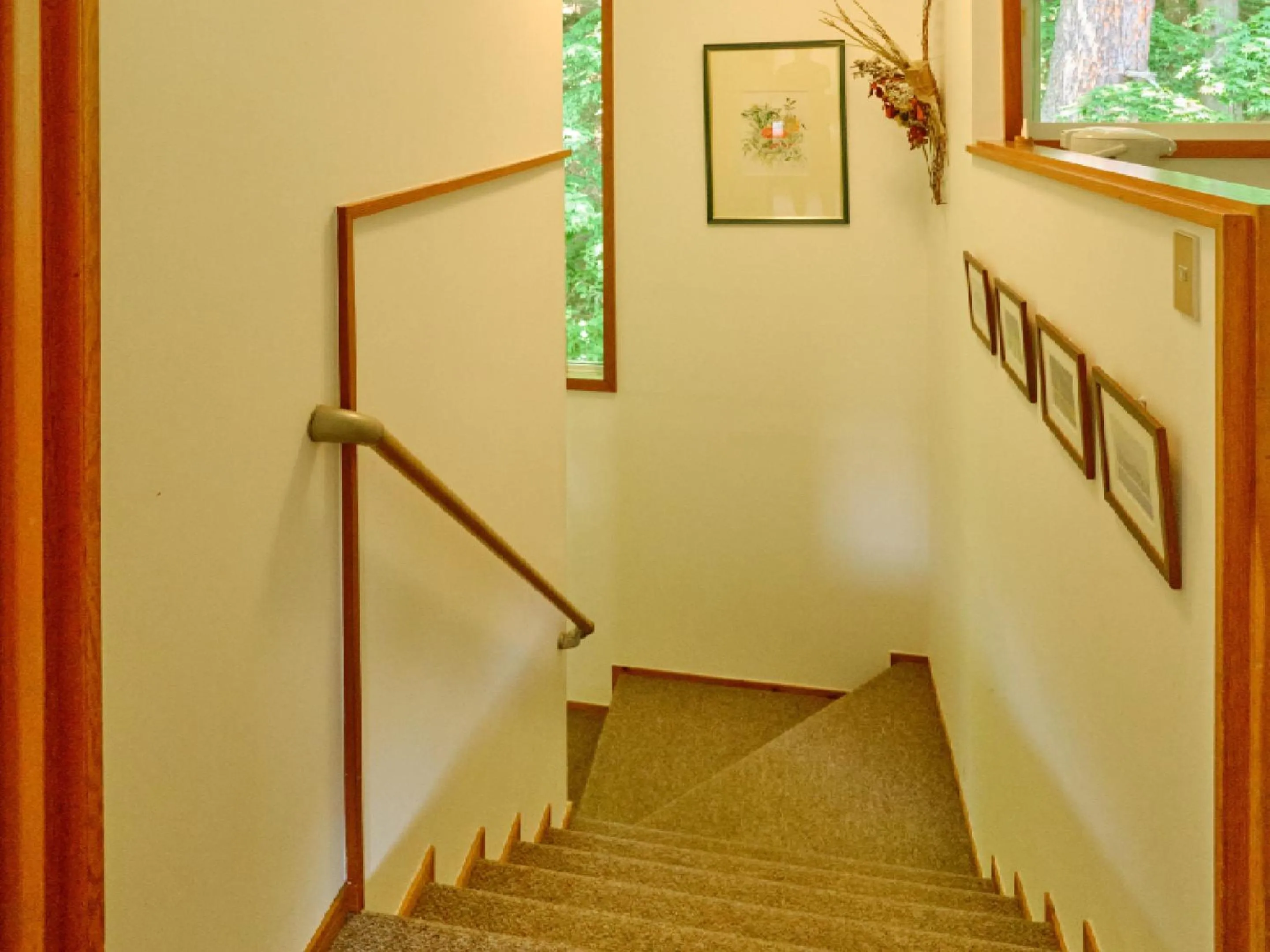 Area and facilities in Pension Asanebou