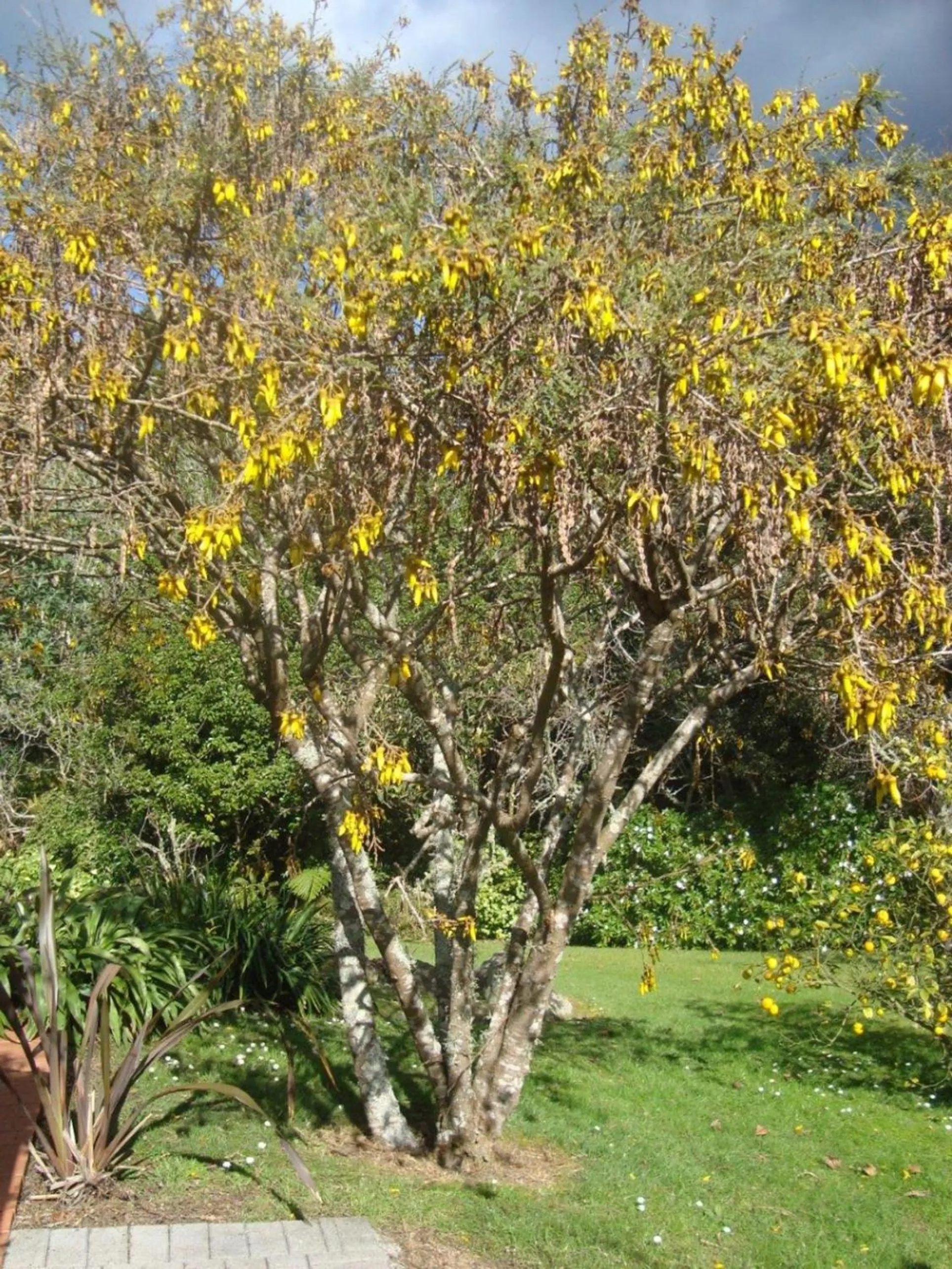 Warkworth Country House