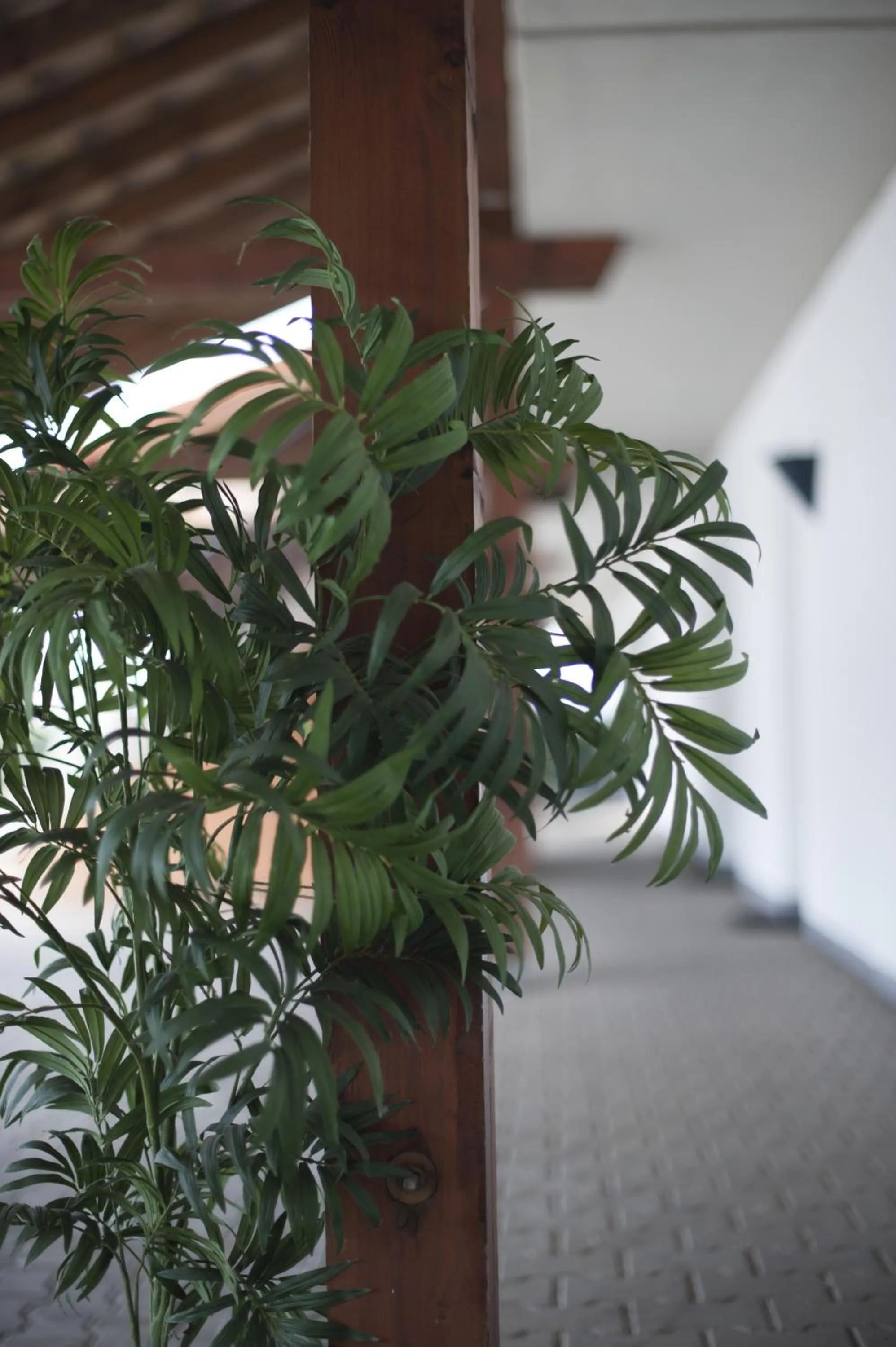 Decorative detail in Hotel am Park - Krefeld - Düsseldorf