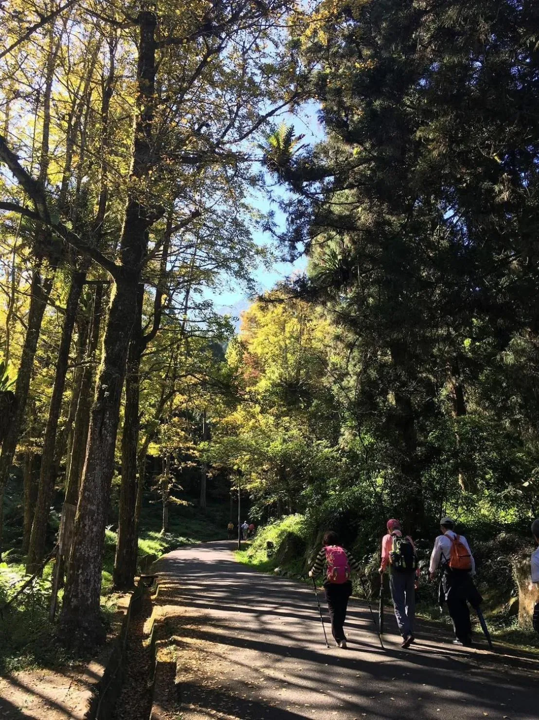 Nearby landmark in Ginkgo Hotel