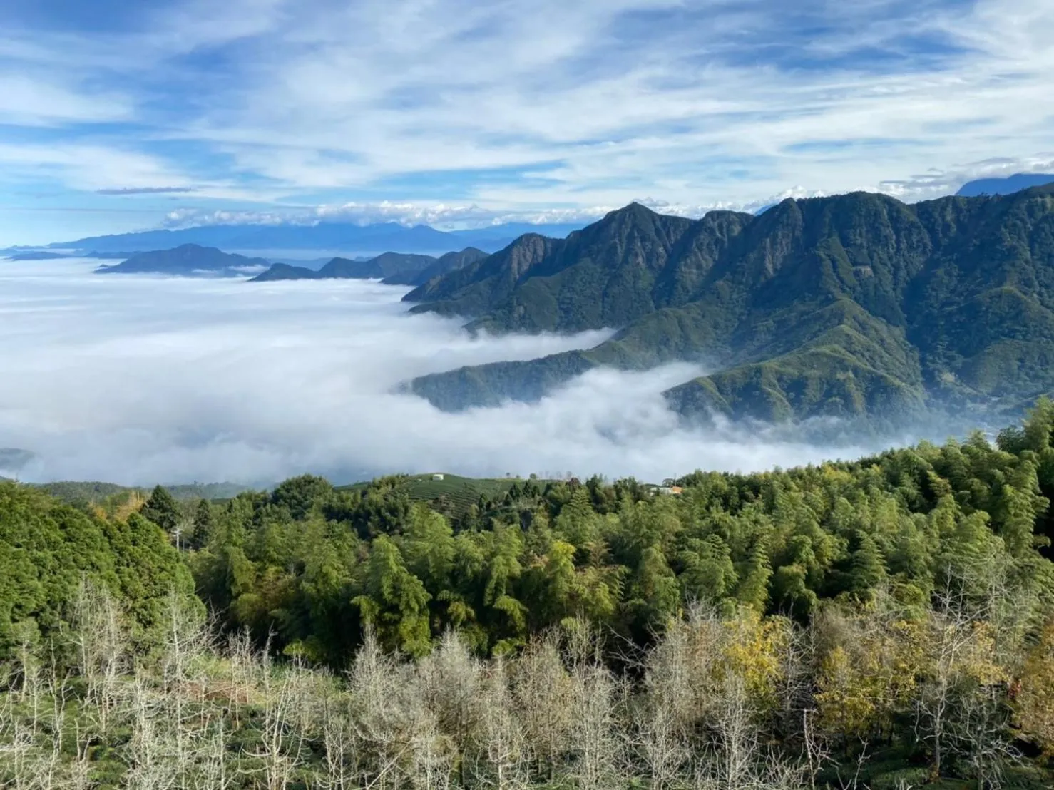 Nearby landmark in Ginkgo Hotel