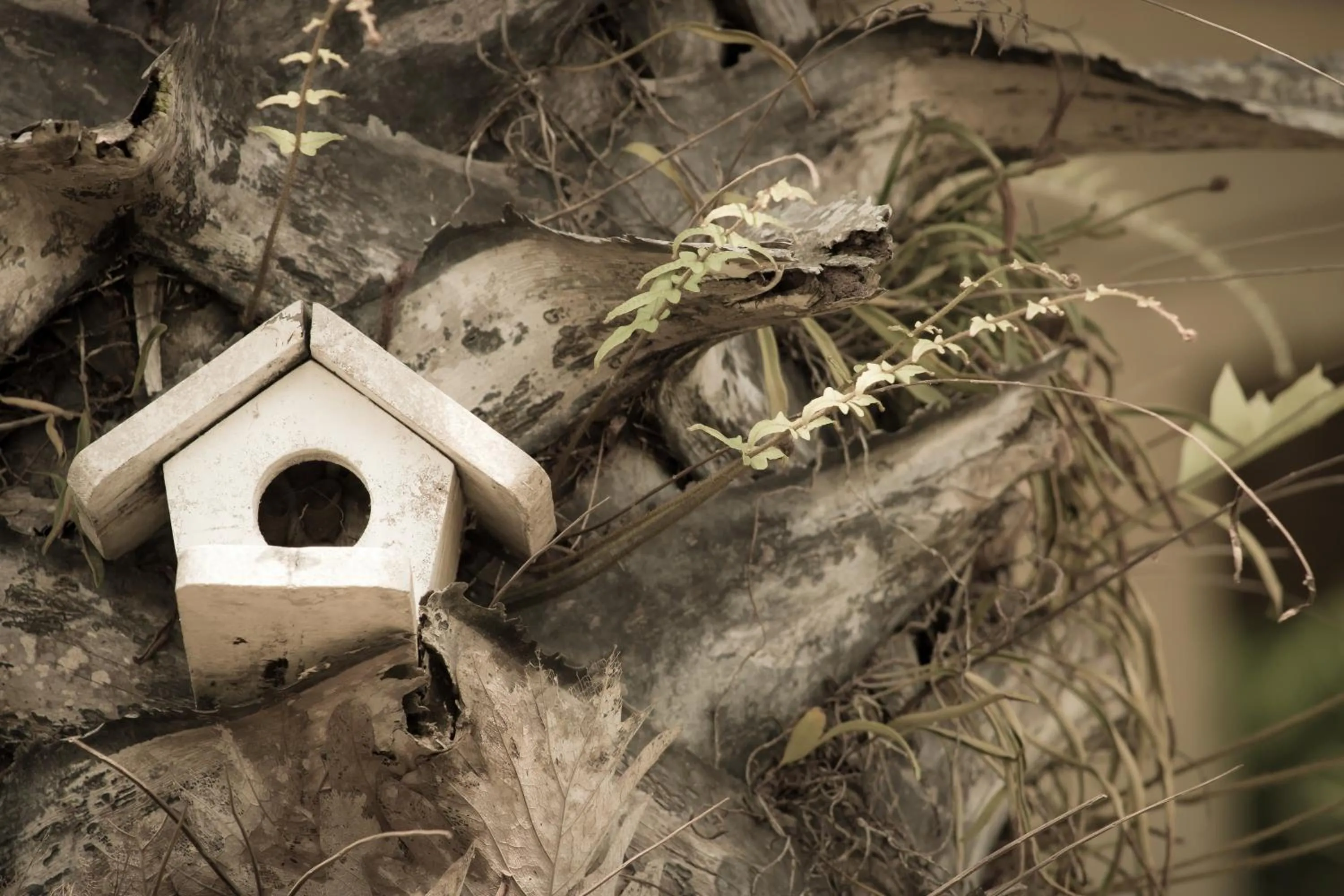 Property building in The Natural Garden Resort