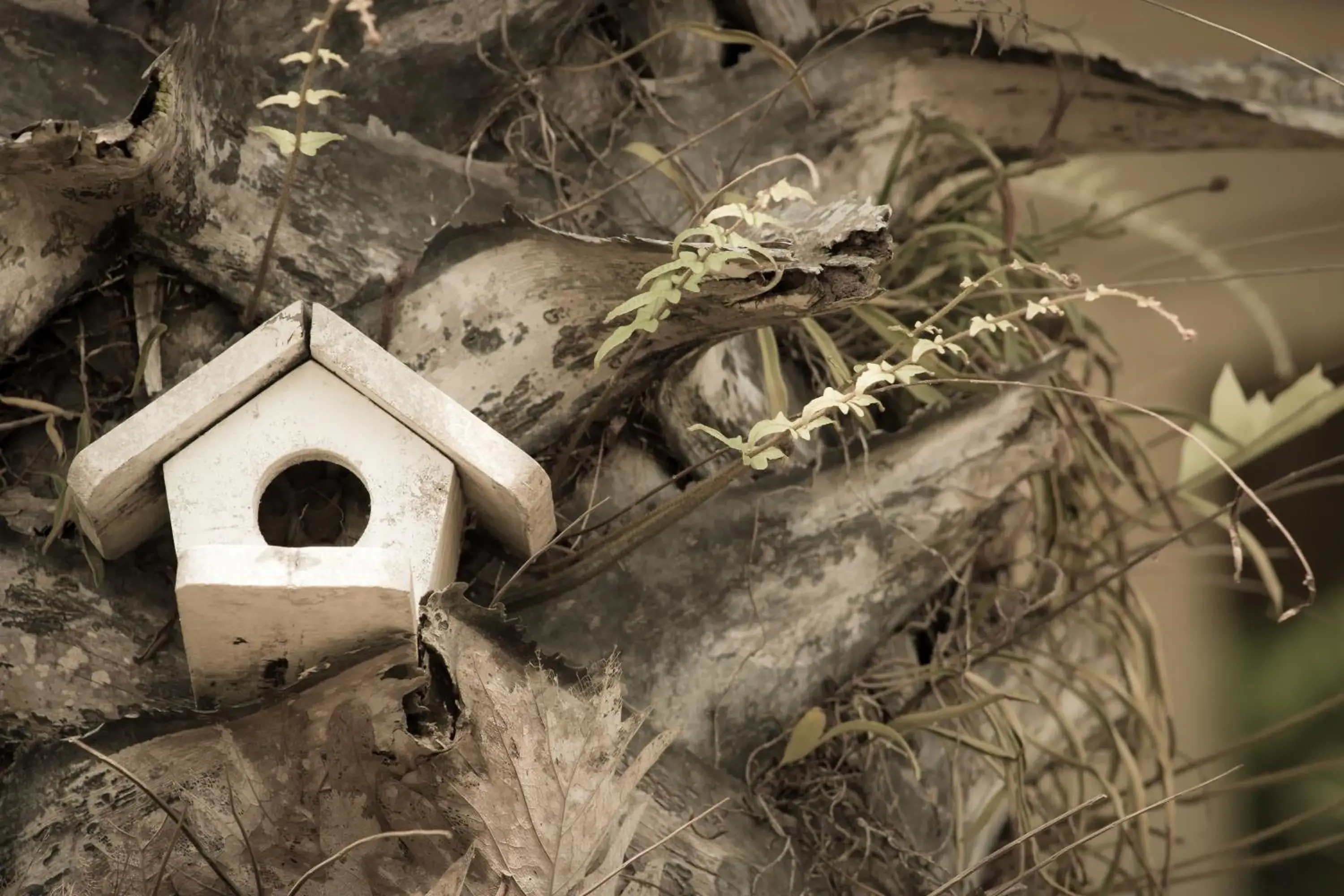 Property building in The Natural Garden Resort Property building in The Natural Garden Resort