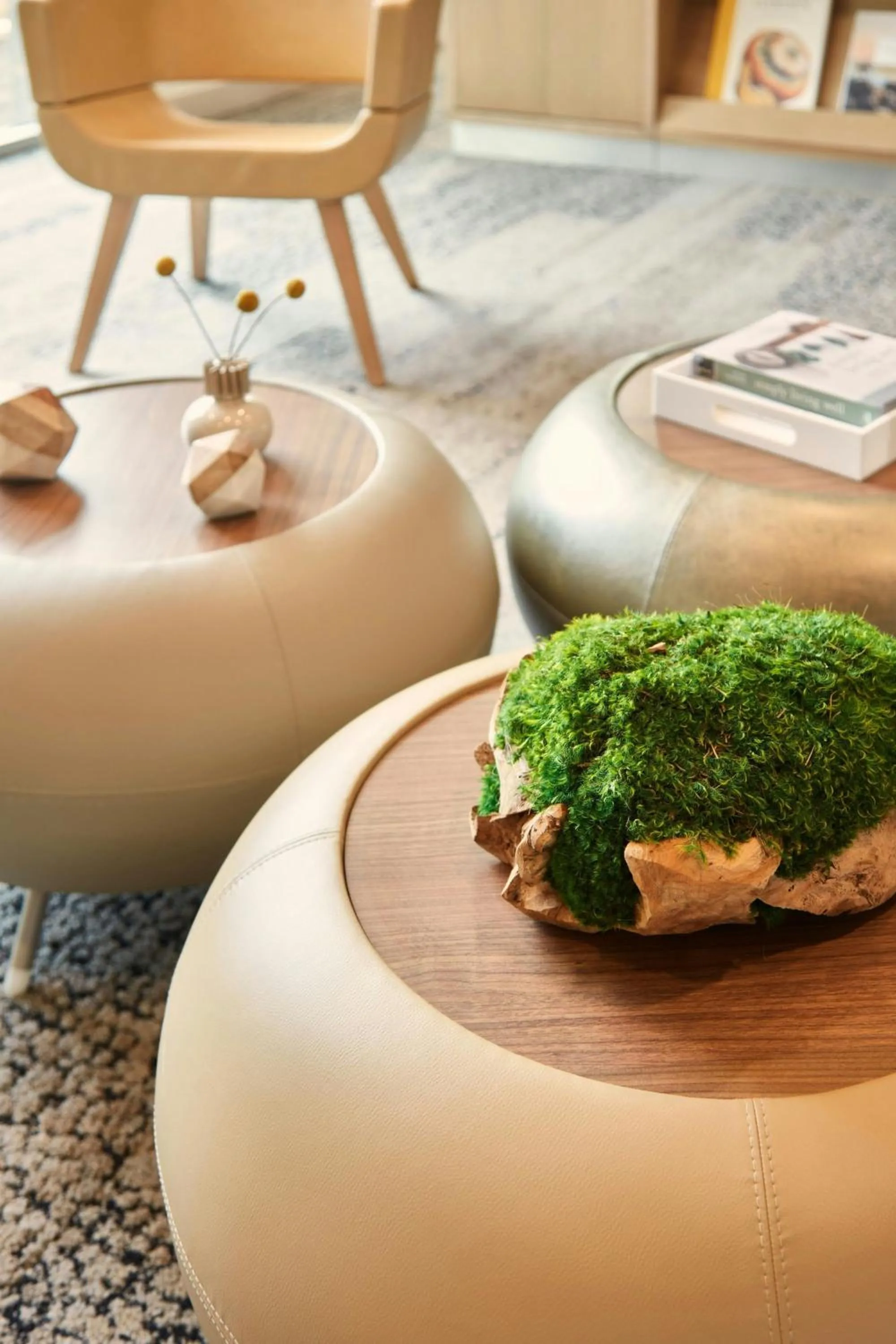 Lobby or reception in Element Asheville Downtown