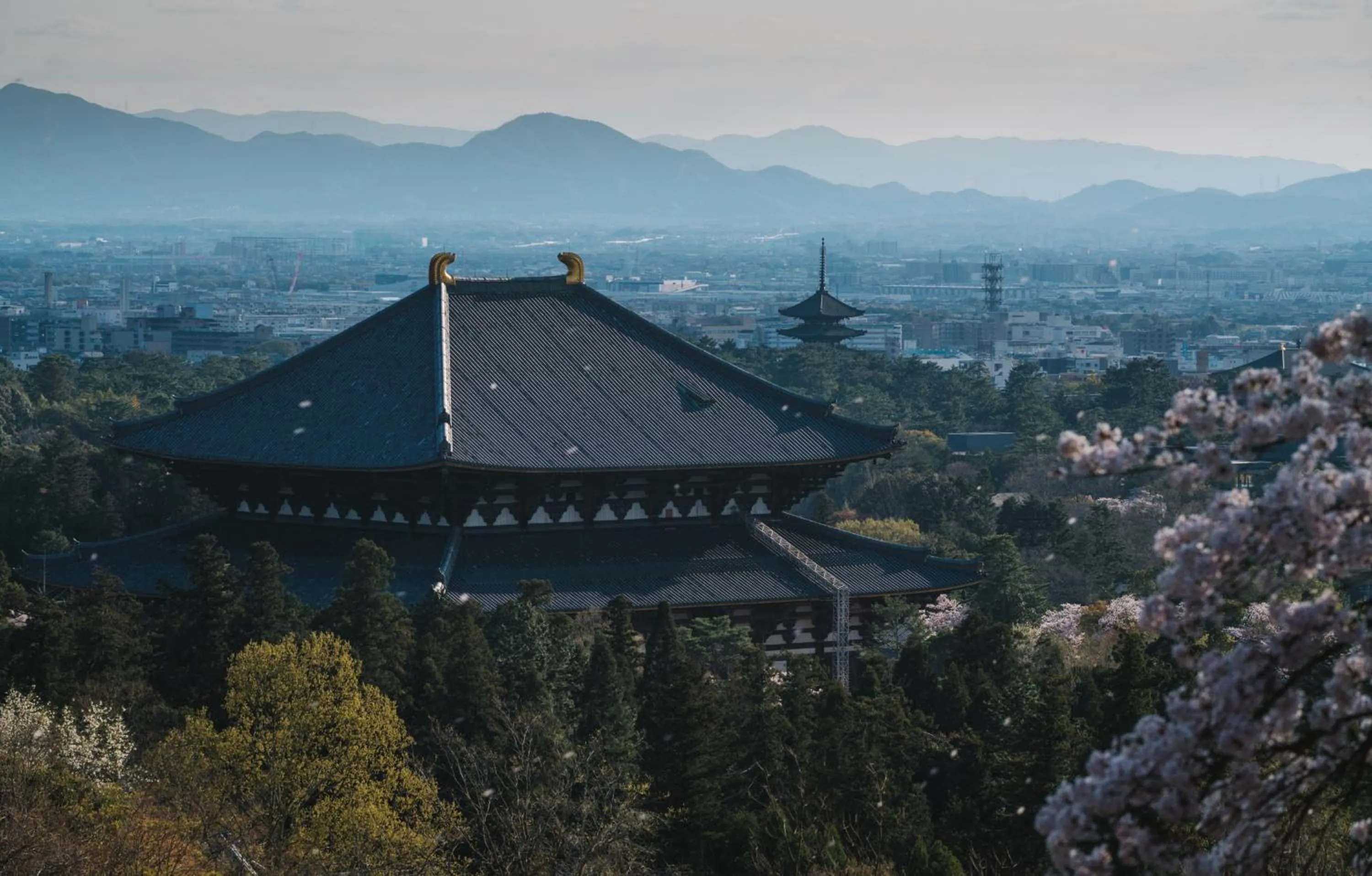 Spring in JW Marriott Hotel Nara