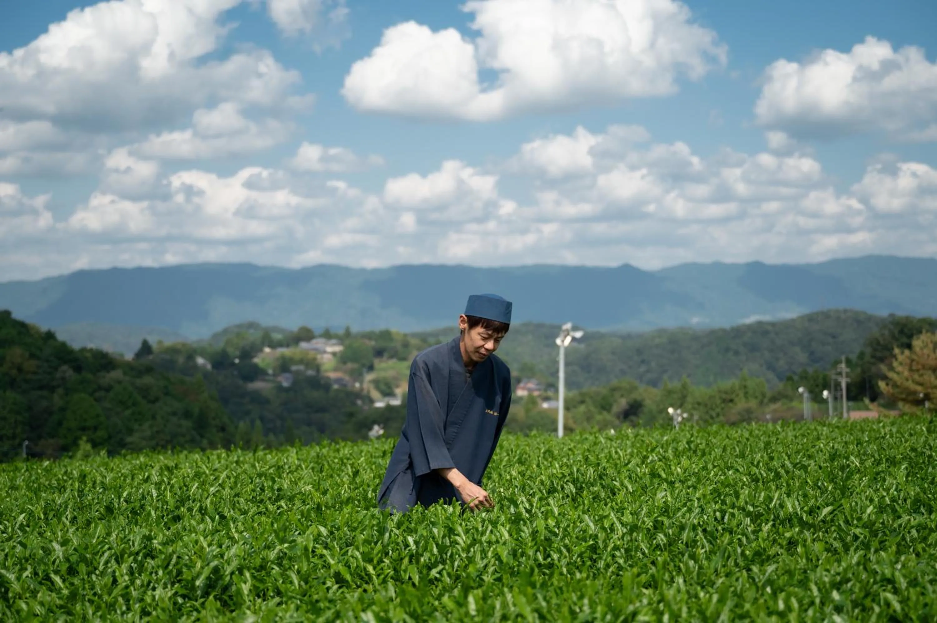 Spring in JW Marriott Hotel Nara