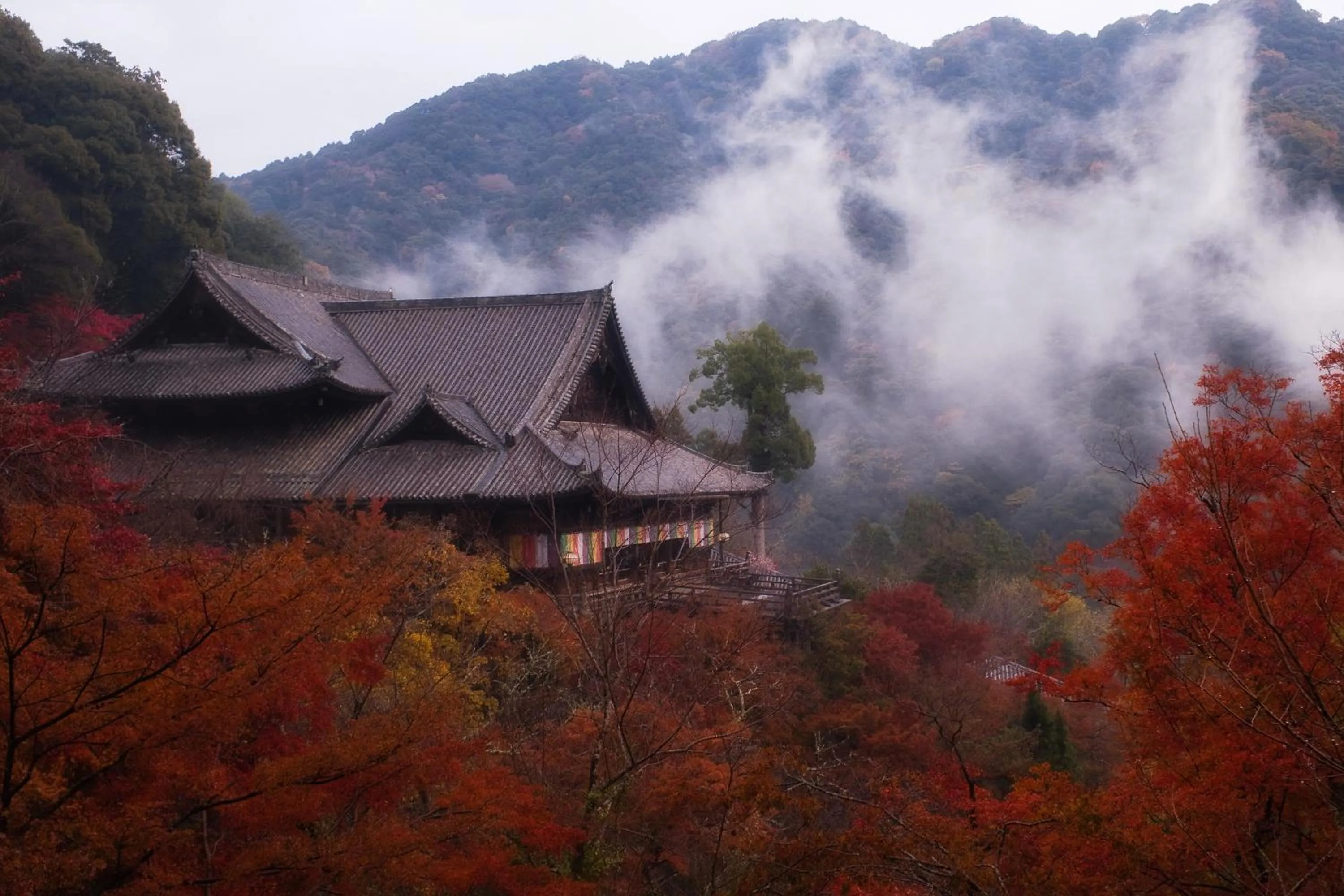 Neighbourhood in JW Marriott Hotel Nara