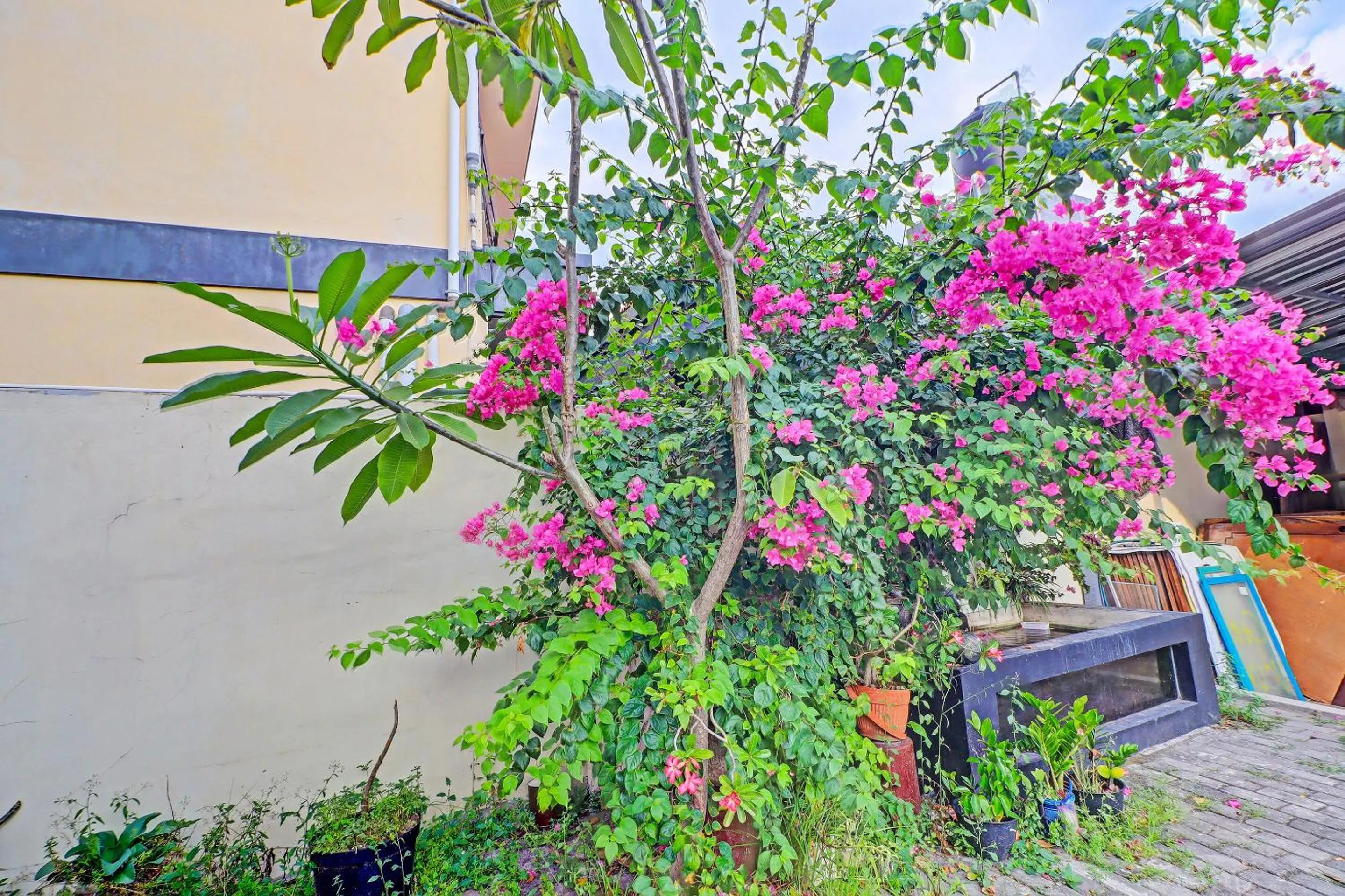 Lobby or reception in Guest House Simalem