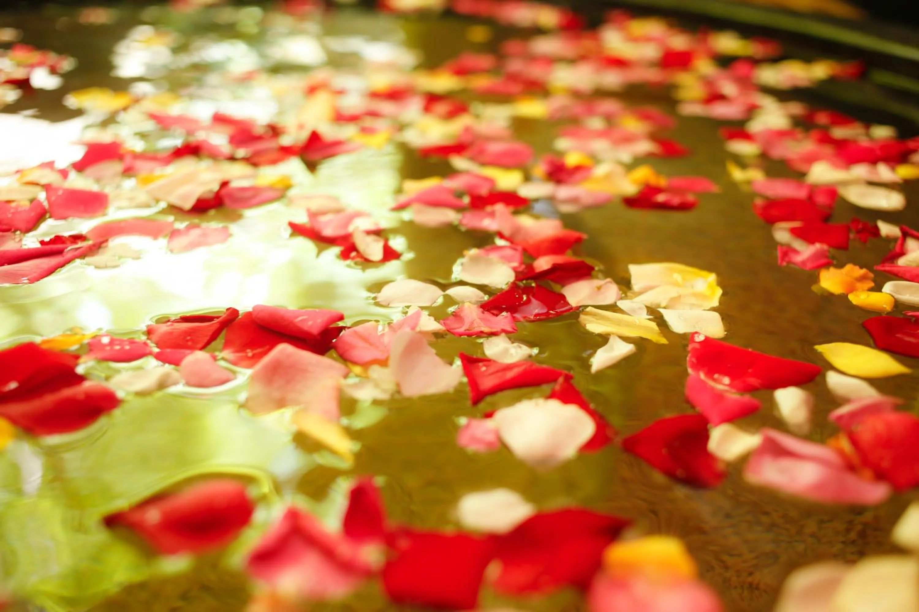 Hot Spring Bath in Kinosaki Tenboen