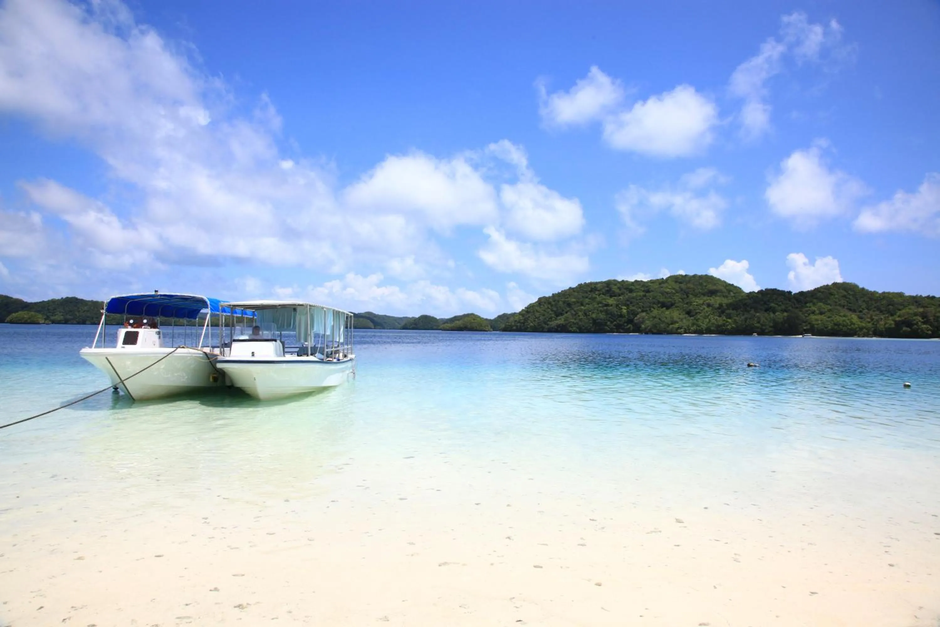 Beach in Rose Garden Resort