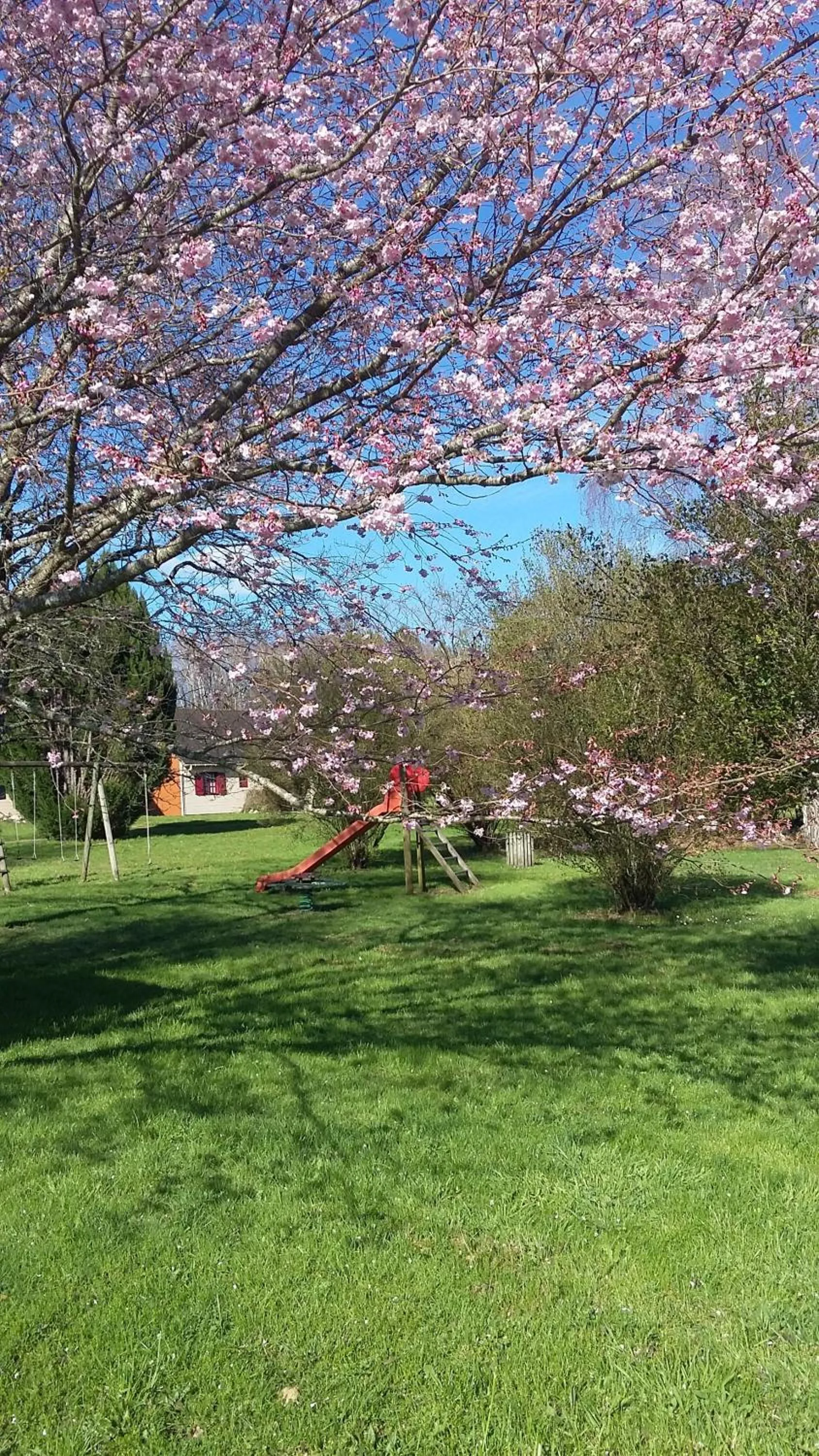 Garden view in Domaine de Vaulatour.