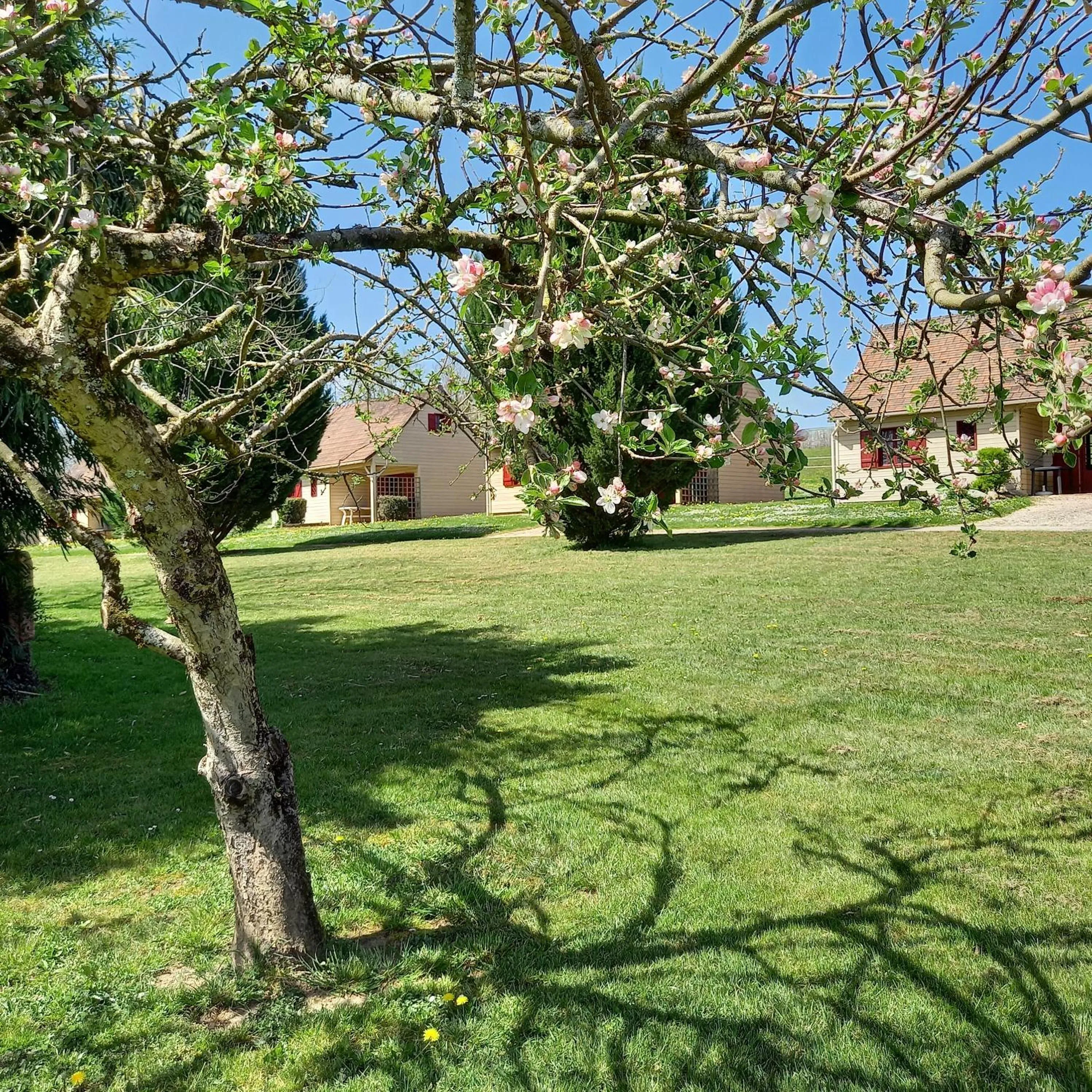 Natural landscape in Domaine de Vaulatour.