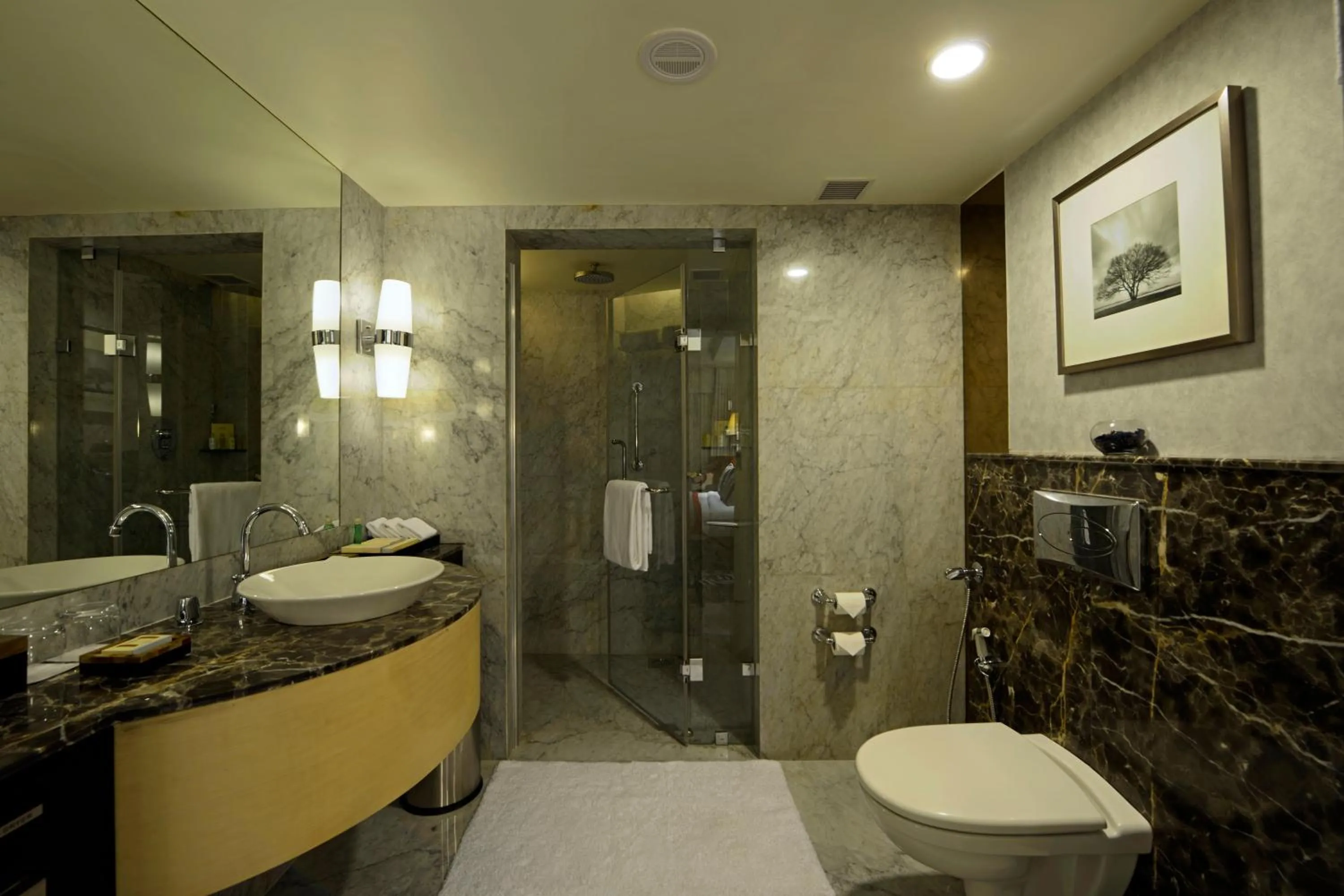 Bathroom in Radisson Blu Hotel Ahmedabad