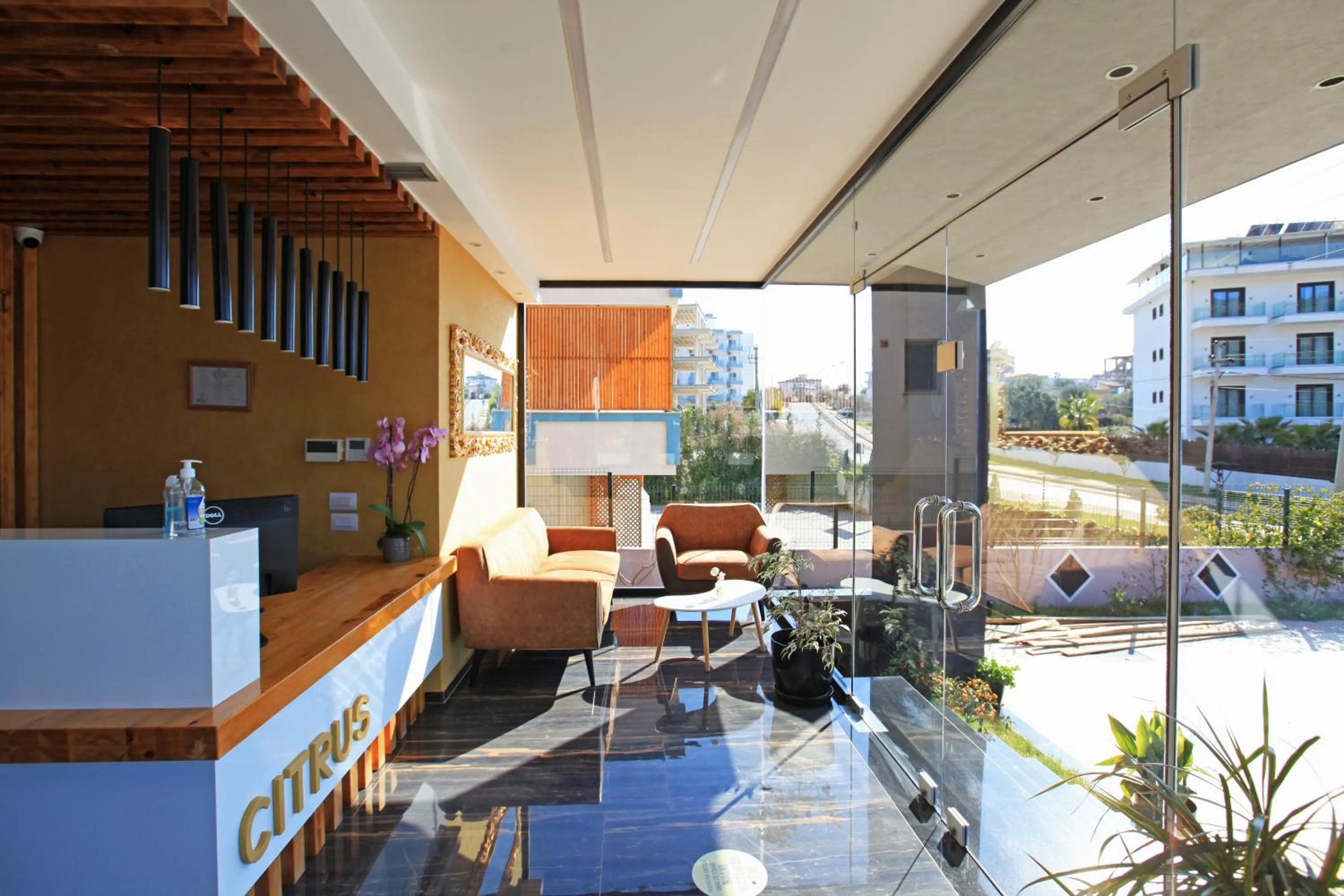 Lounge or bar in Hotel Citrus