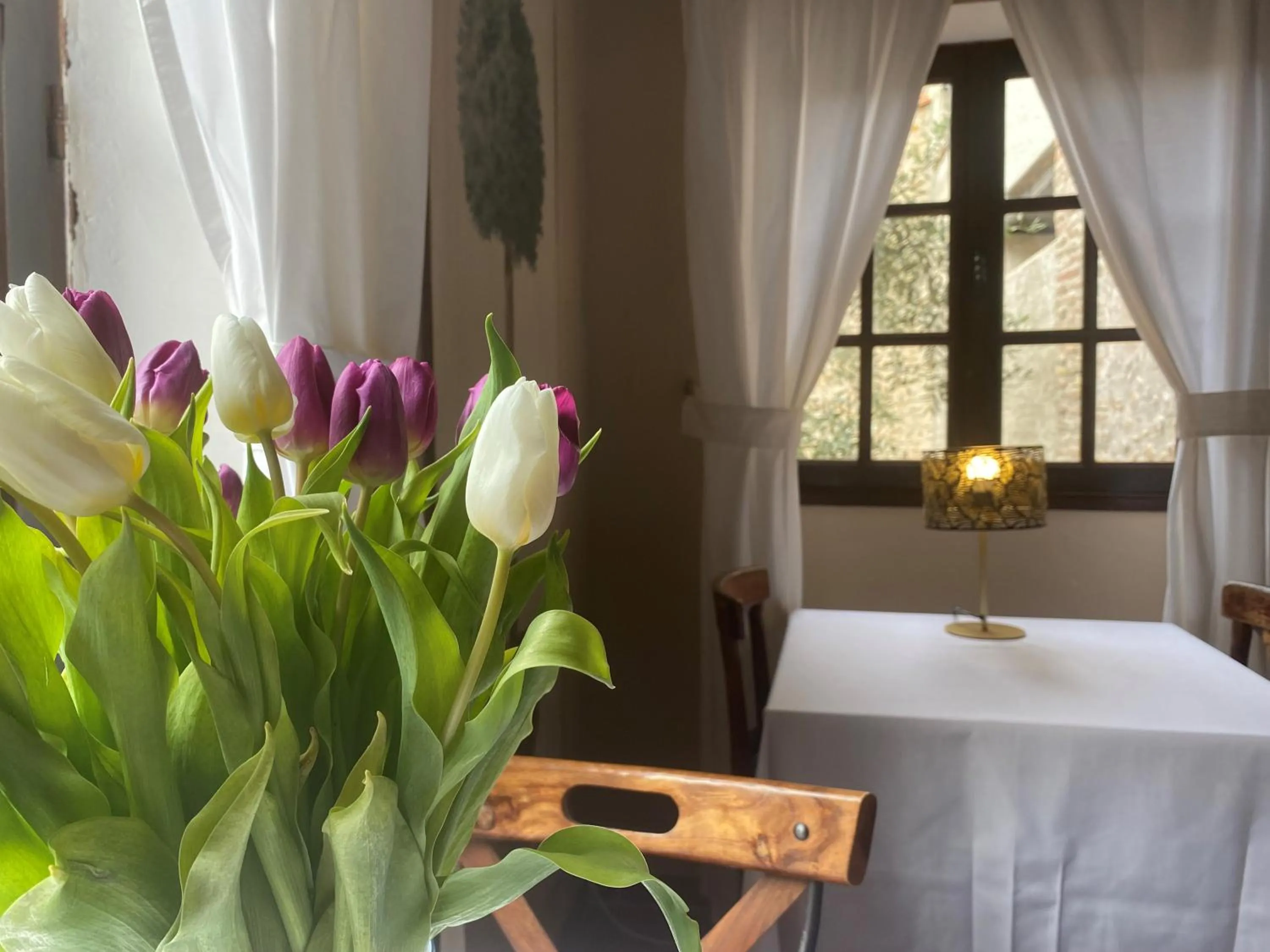 Communal lounge/ TV room in La Vieille Demeure