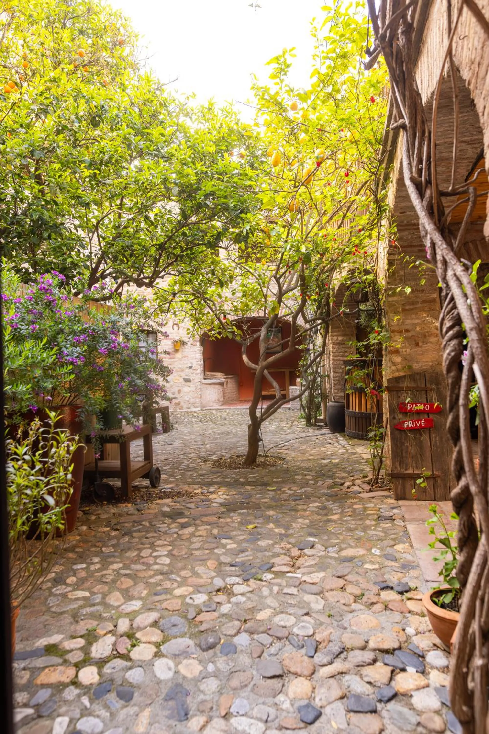 Patio in La Vieille Demeure