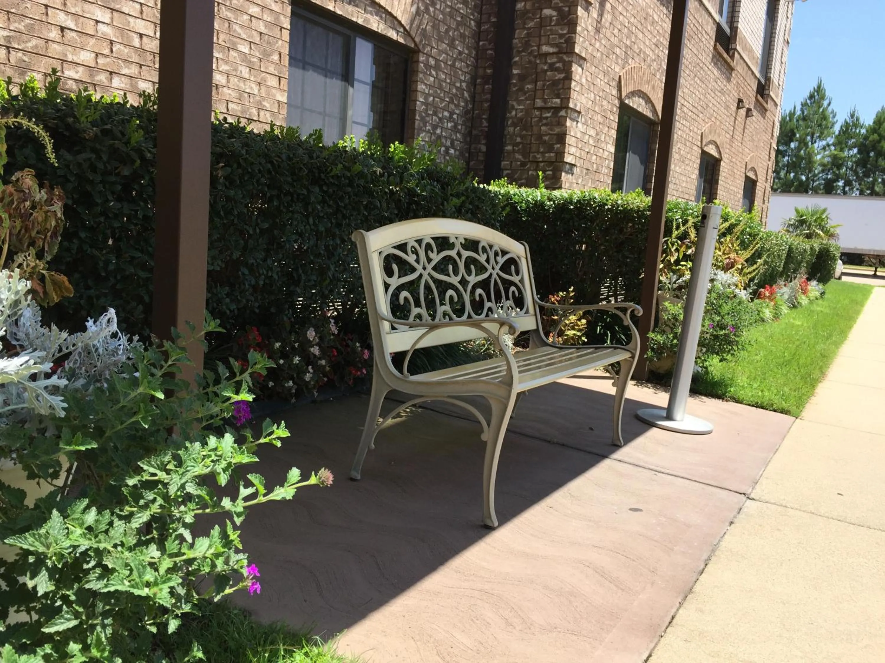 Garden in Comfort Suites Marshall