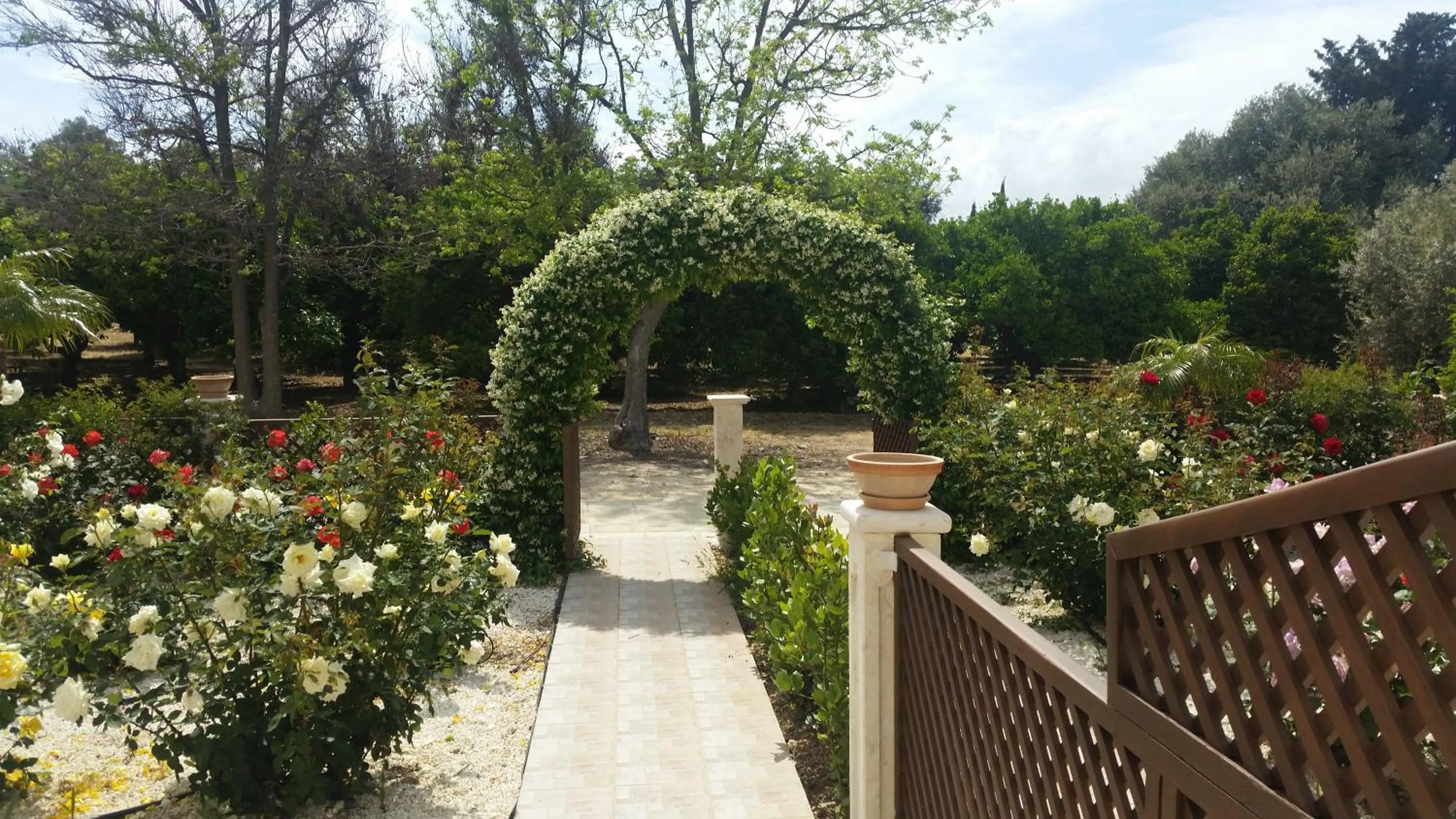 Garden view in Eliofos Elegant Maisonettes