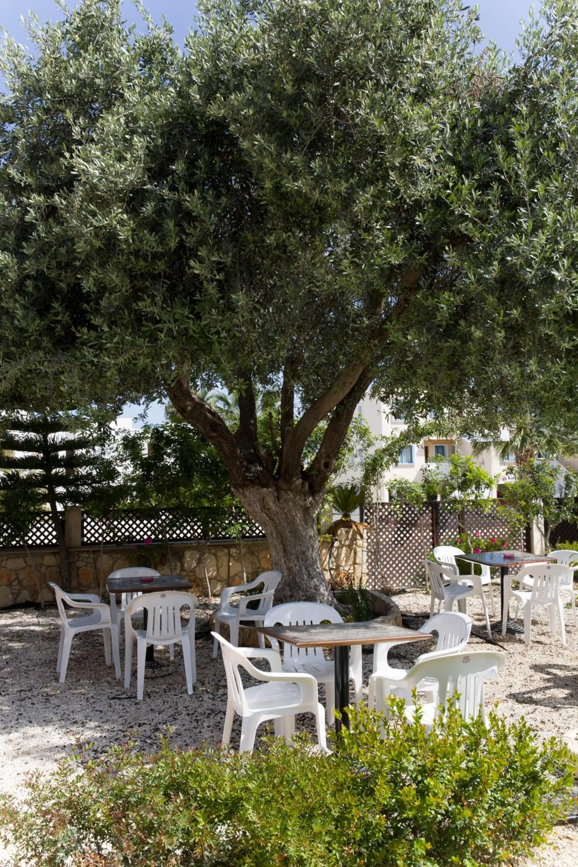Garden in Eliofos Elegant Maisonettes
