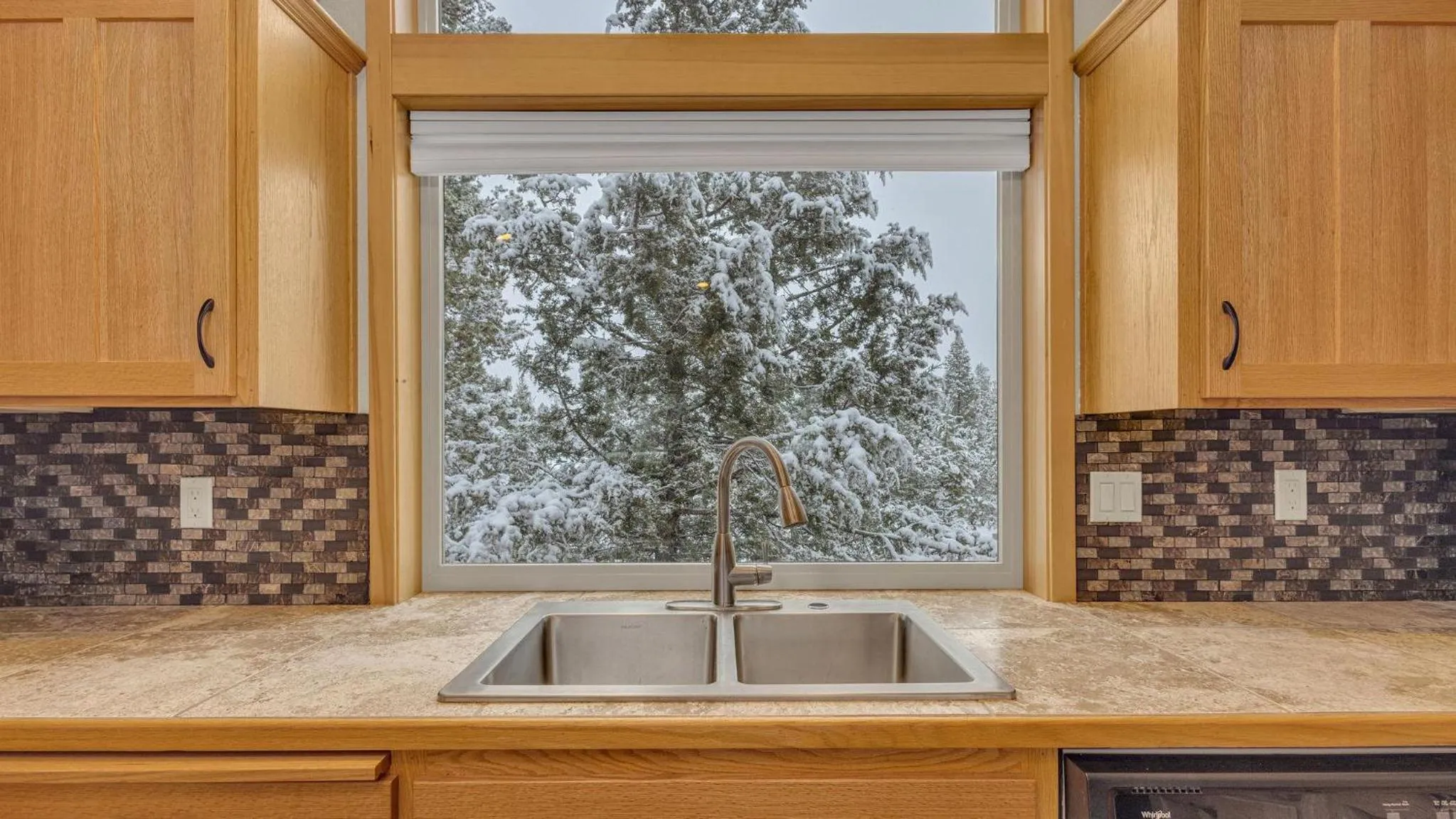 Vine Maple - Unit 30