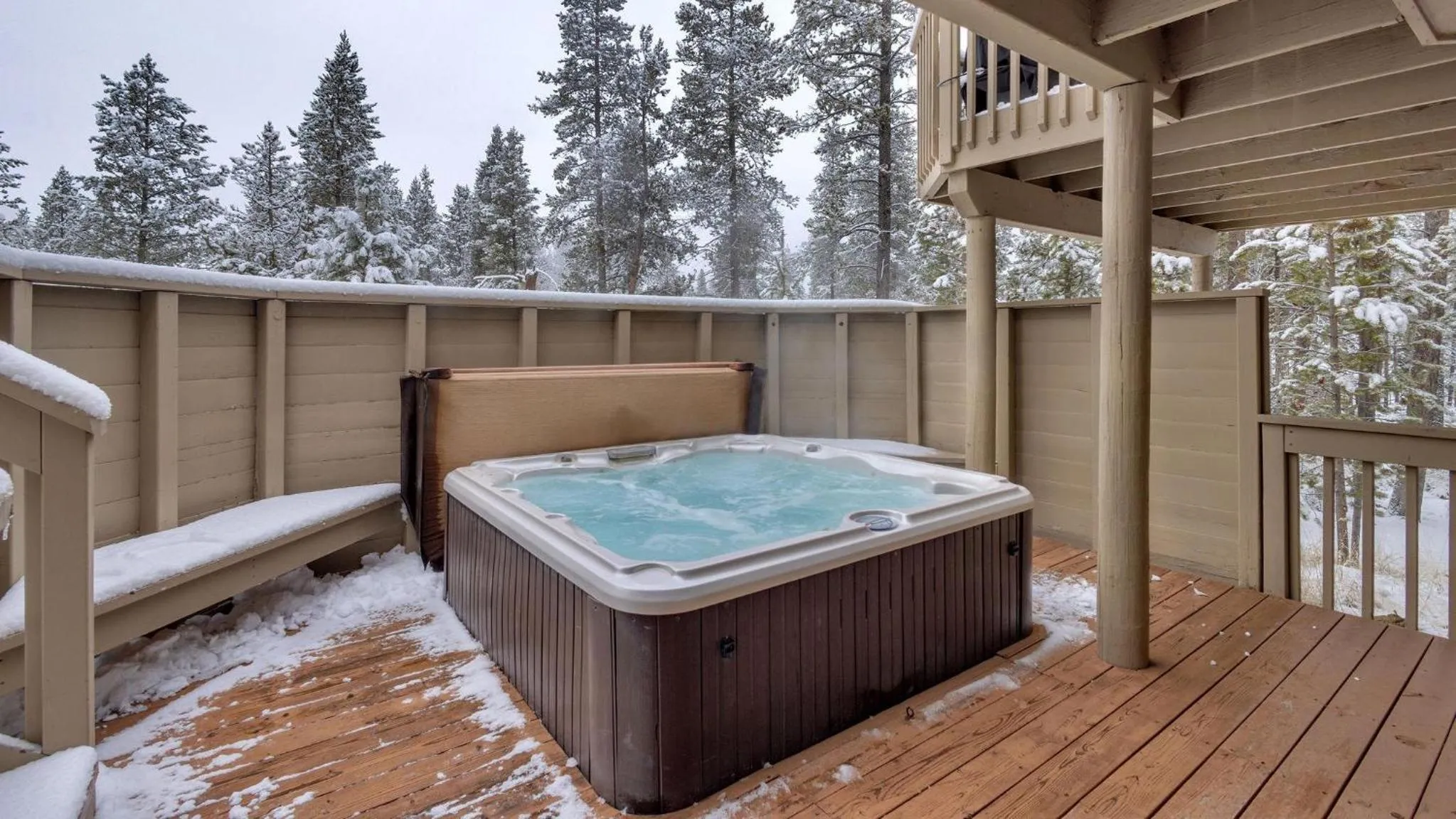 Vine Maple - Unit 30