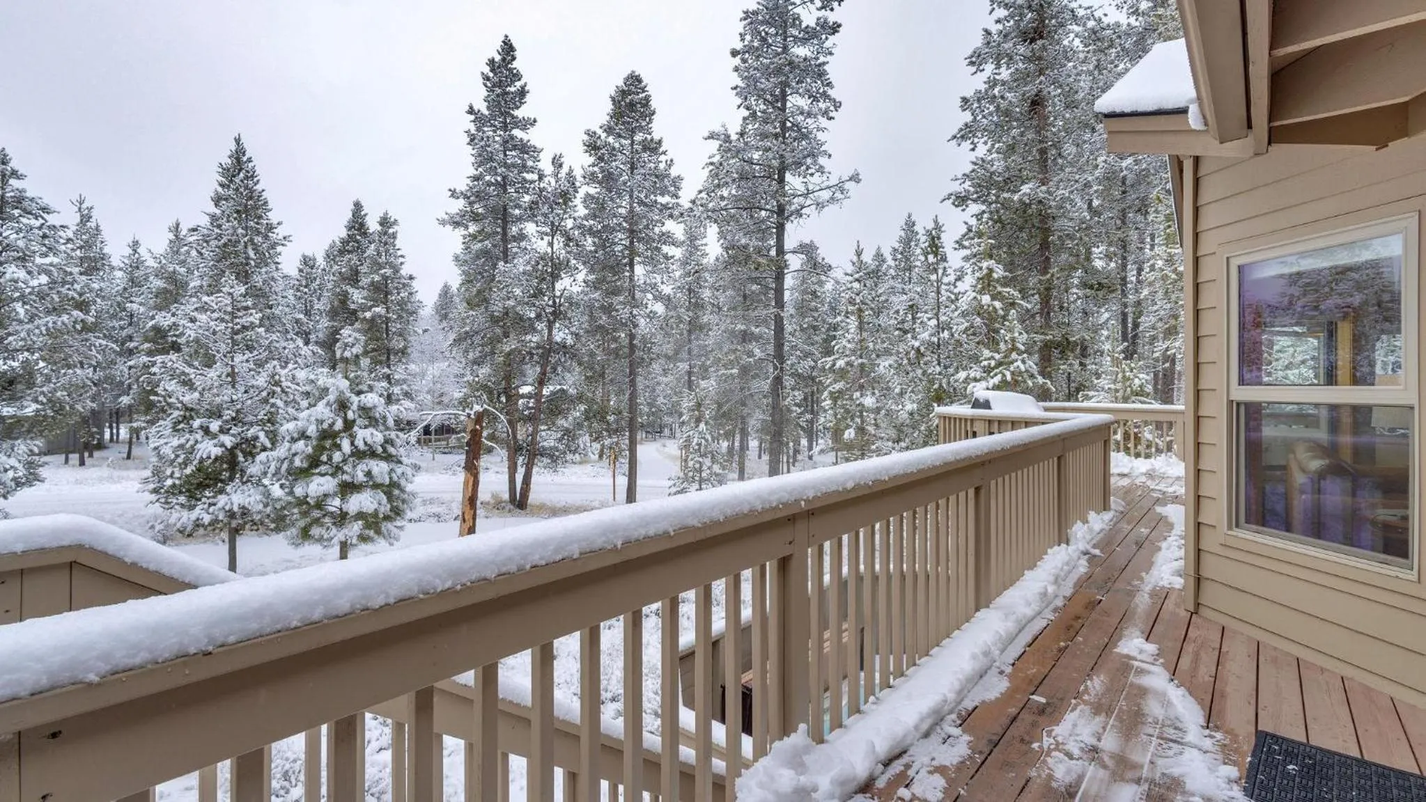 Vine Maple - Unit 30