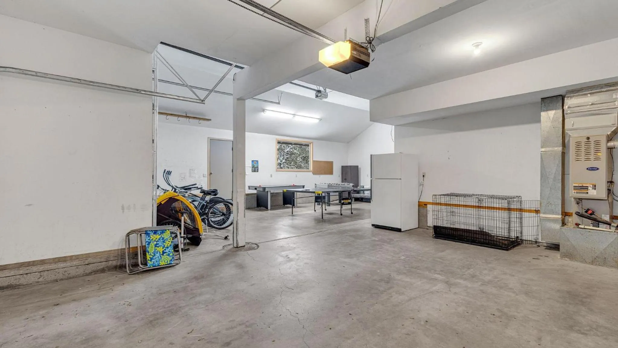 Vine Maple - Unit 30