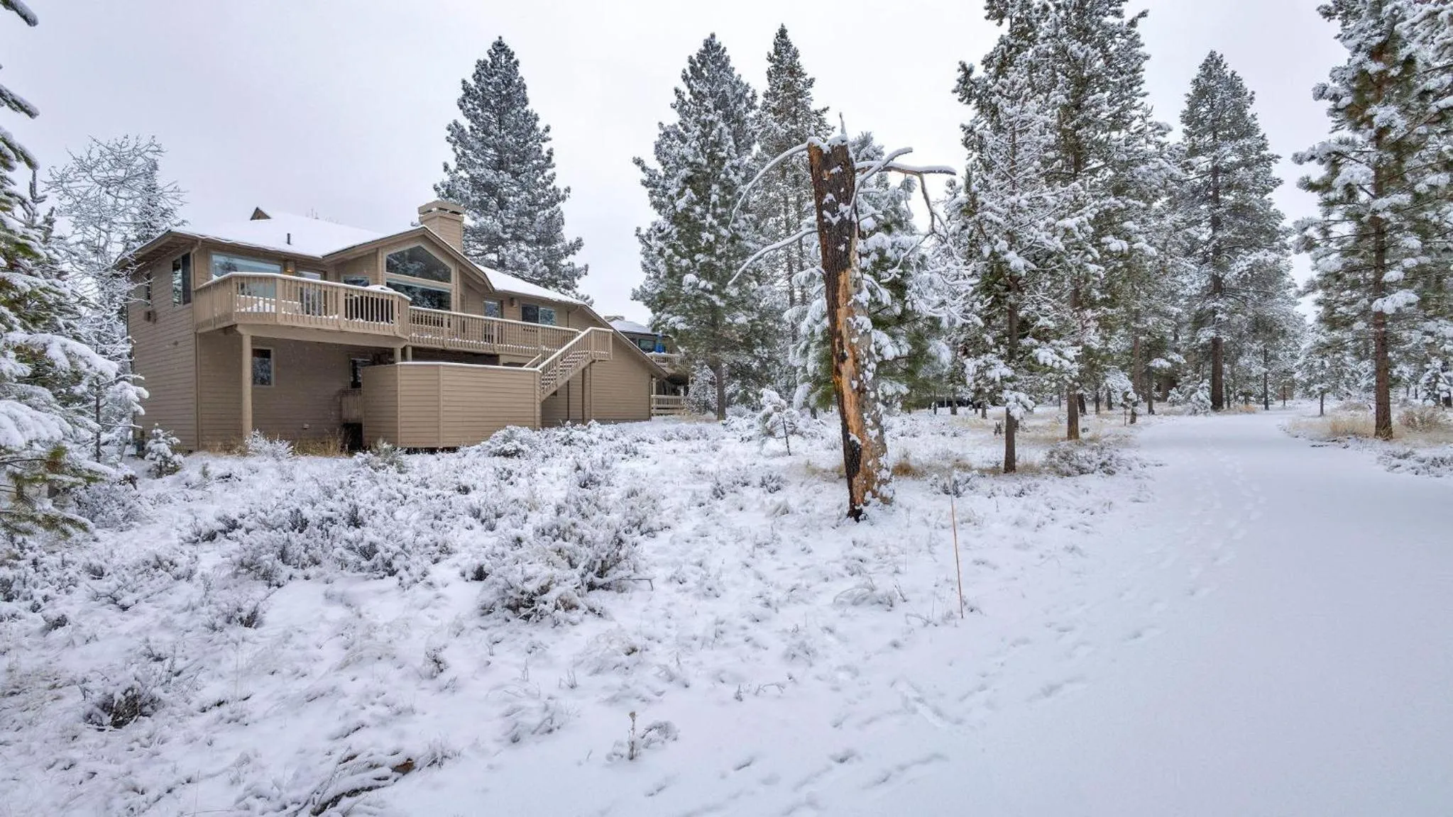 Vine Maple - Unit 30