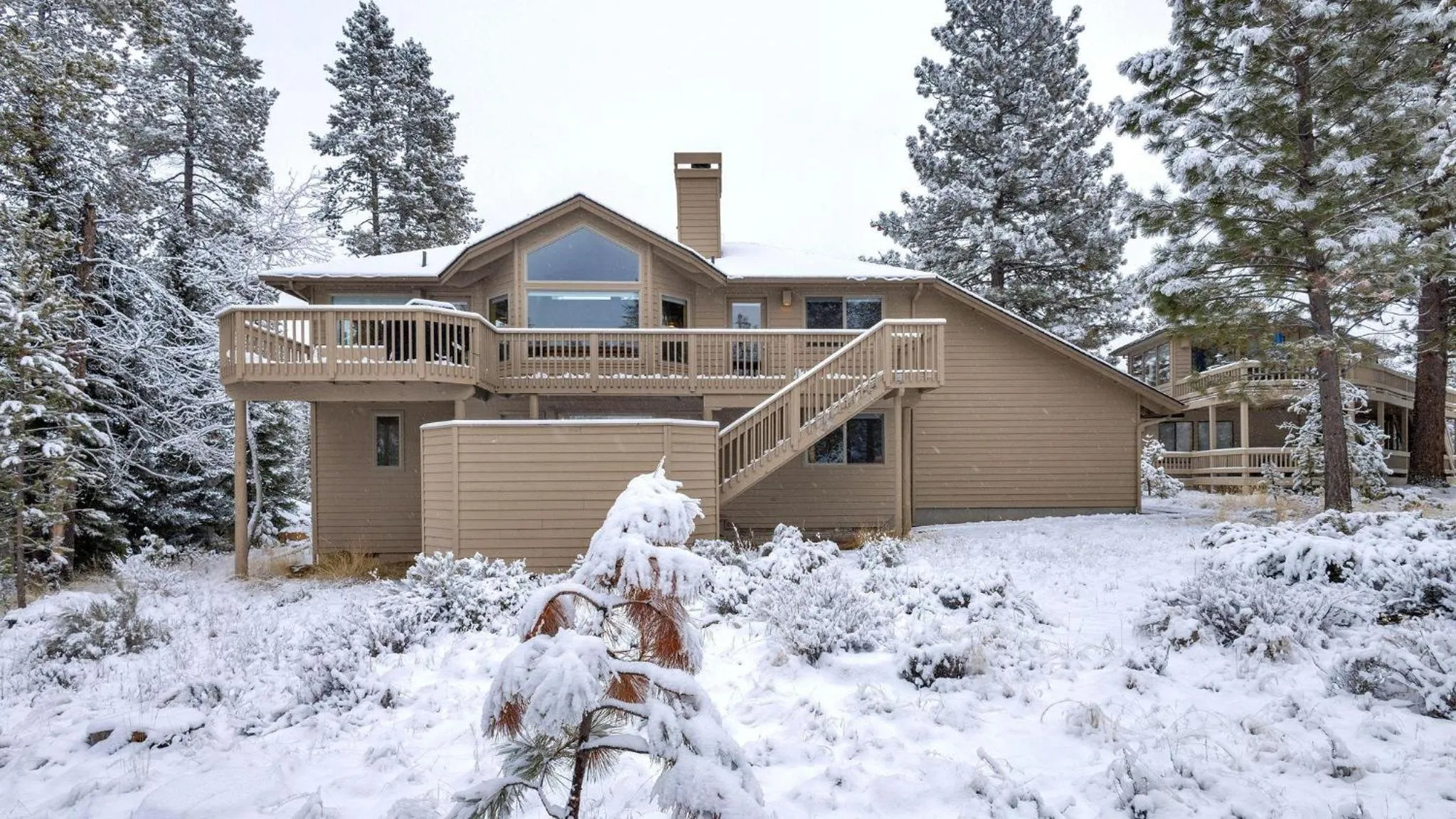 Vine Maple - Unit 30