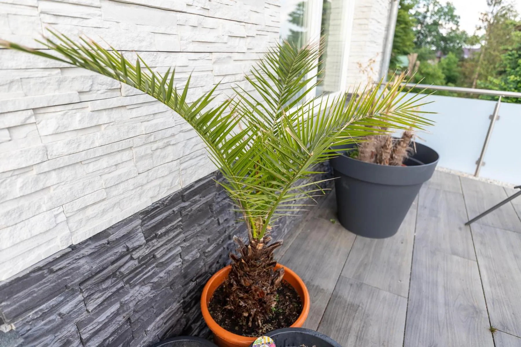 Balcony/Terrace in Hotel Zum Halbmond