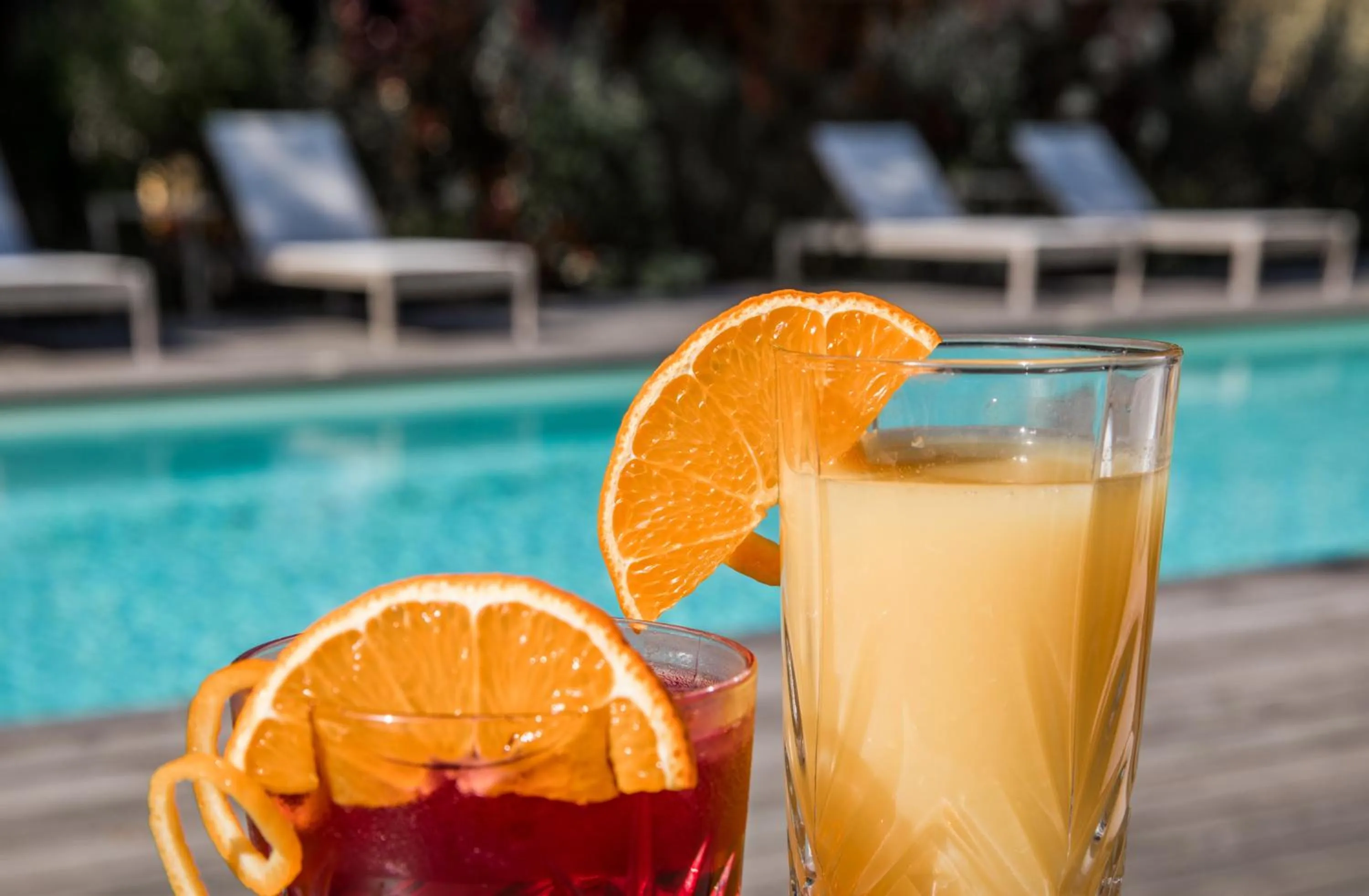 Lounge or bar in Le Lodge des Îles d'Or