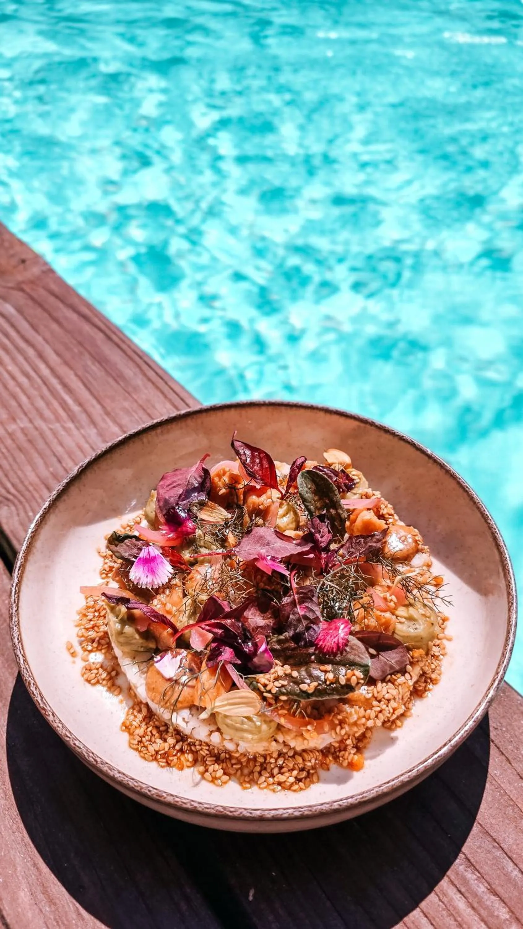 Restaurant/places to eat in Le Lodge des Îles d'Or