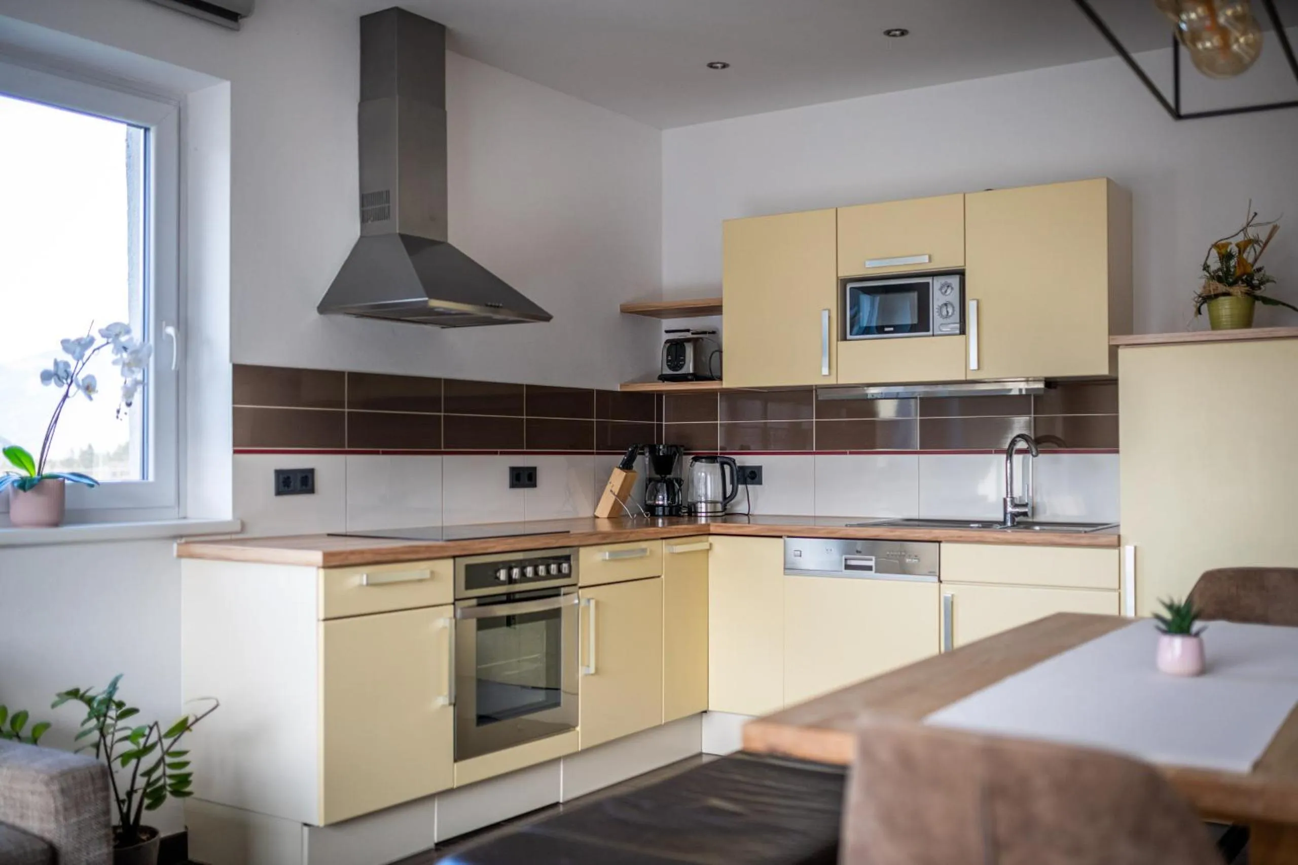 Kitchen or kitchenette in Elinas Mountain Views