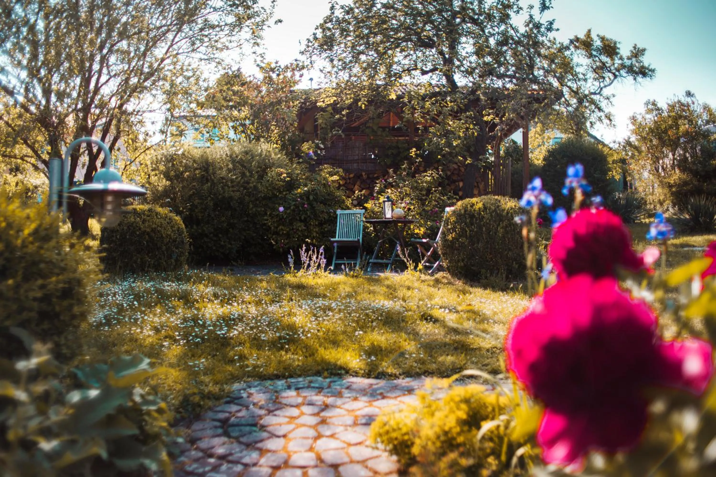 Garden in Bed & Breakfast Unter den Linden