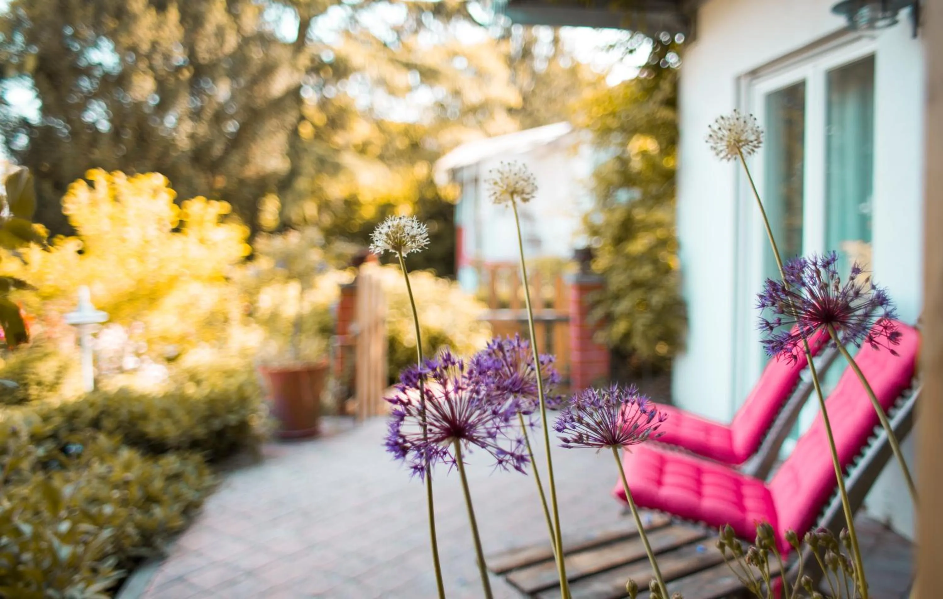 Garden in Bed & Breakfast Unter den Linden