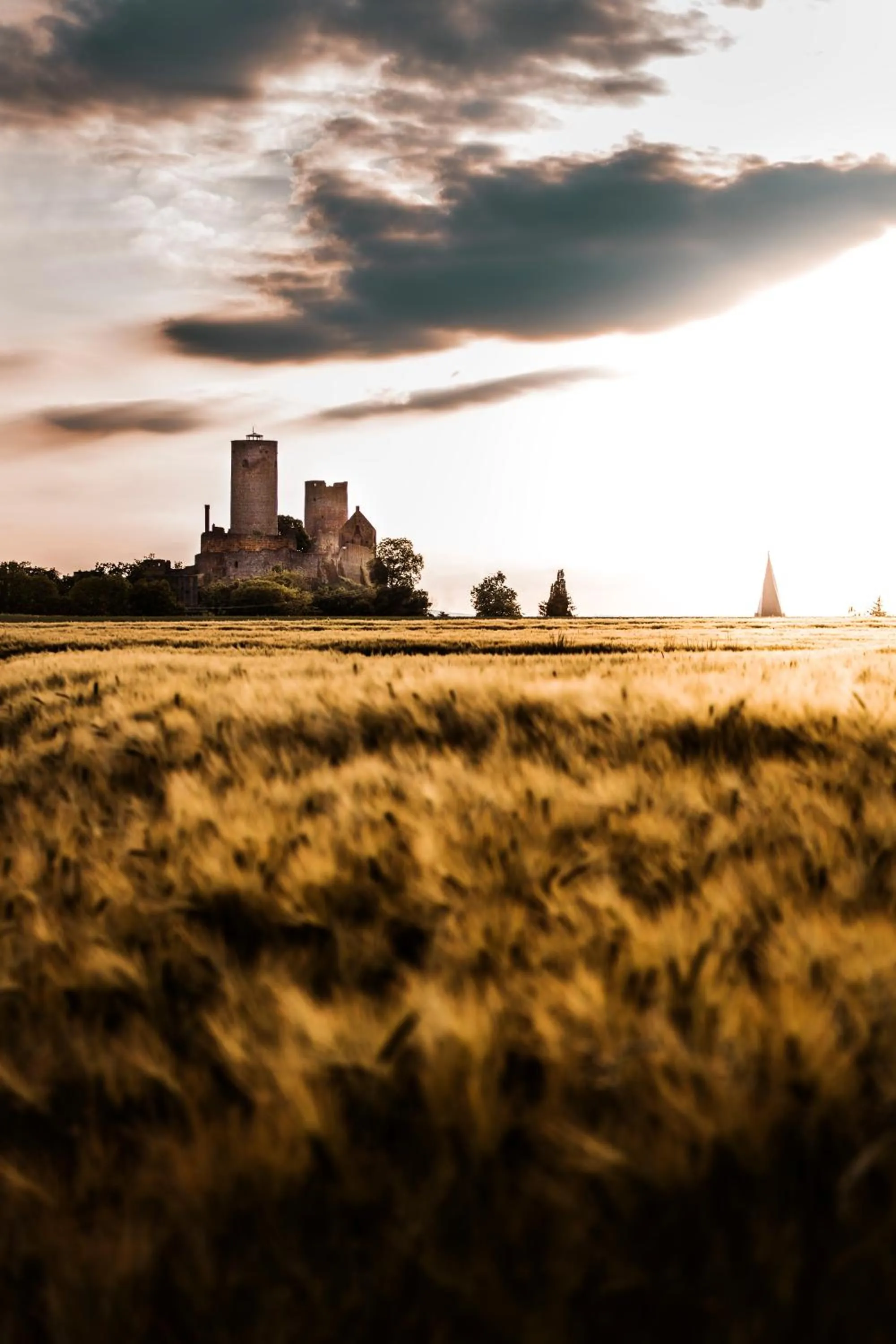 Nearby landmark in Bed & Breakfast Unter den Linden