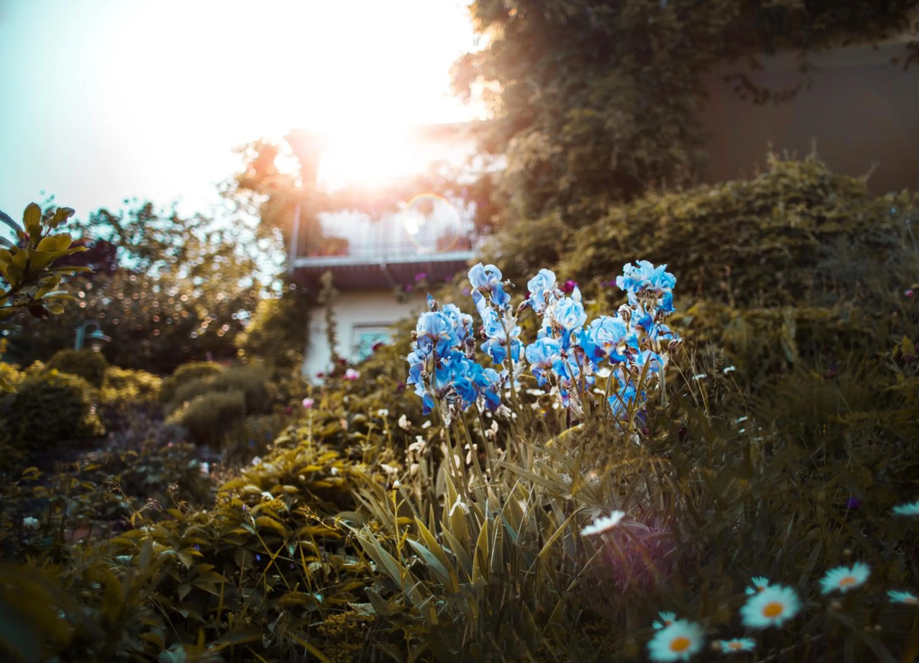 Property building in Bed & Breakfast Unter den Linden