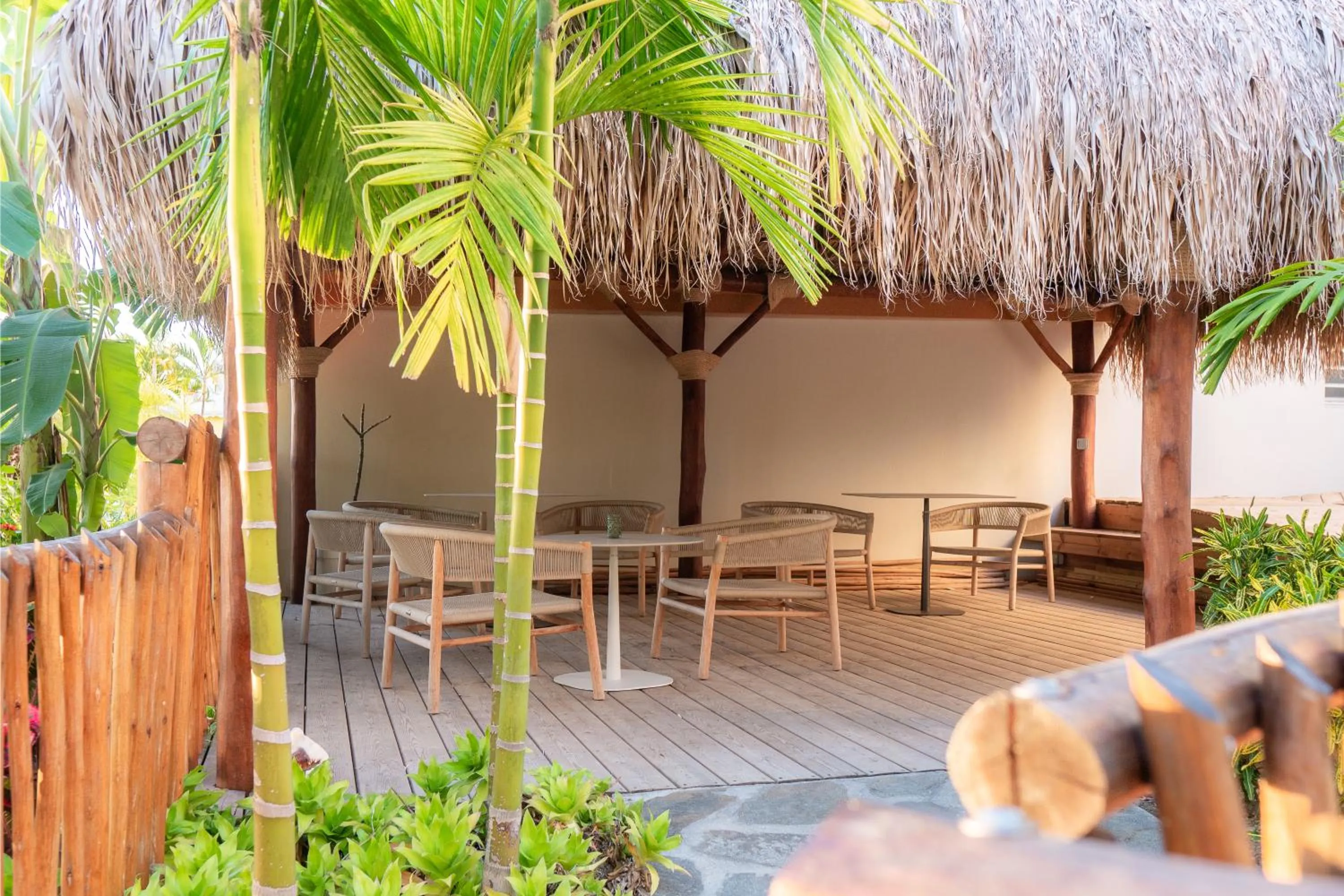 Garden in Hôtel Iloma