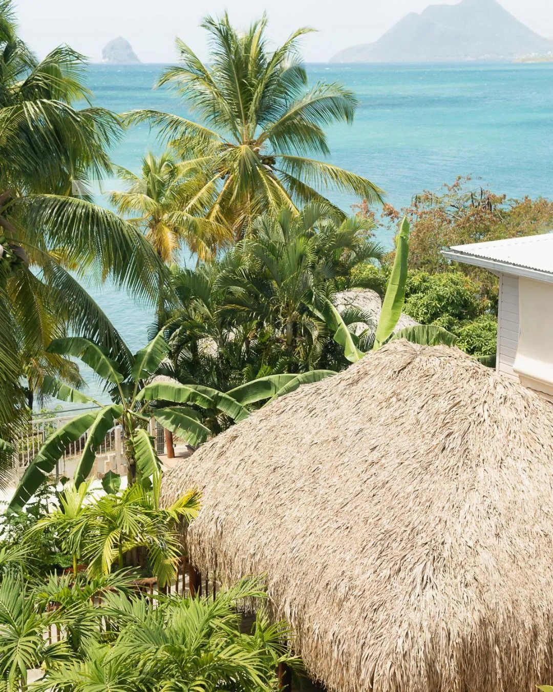 Garden in Hôtel Iloma