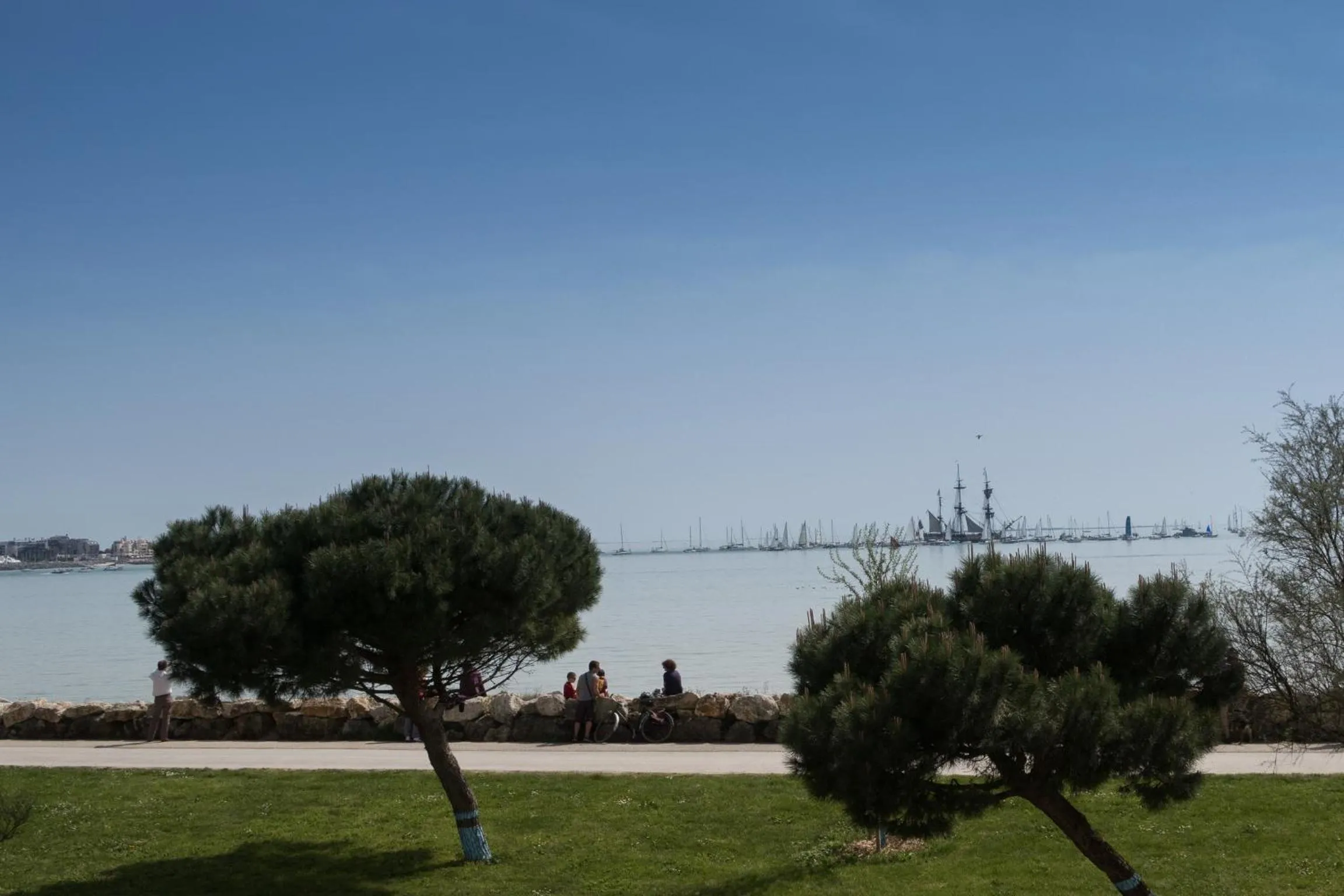 View (from property/room) in Logis Hôtel Le Rochelois