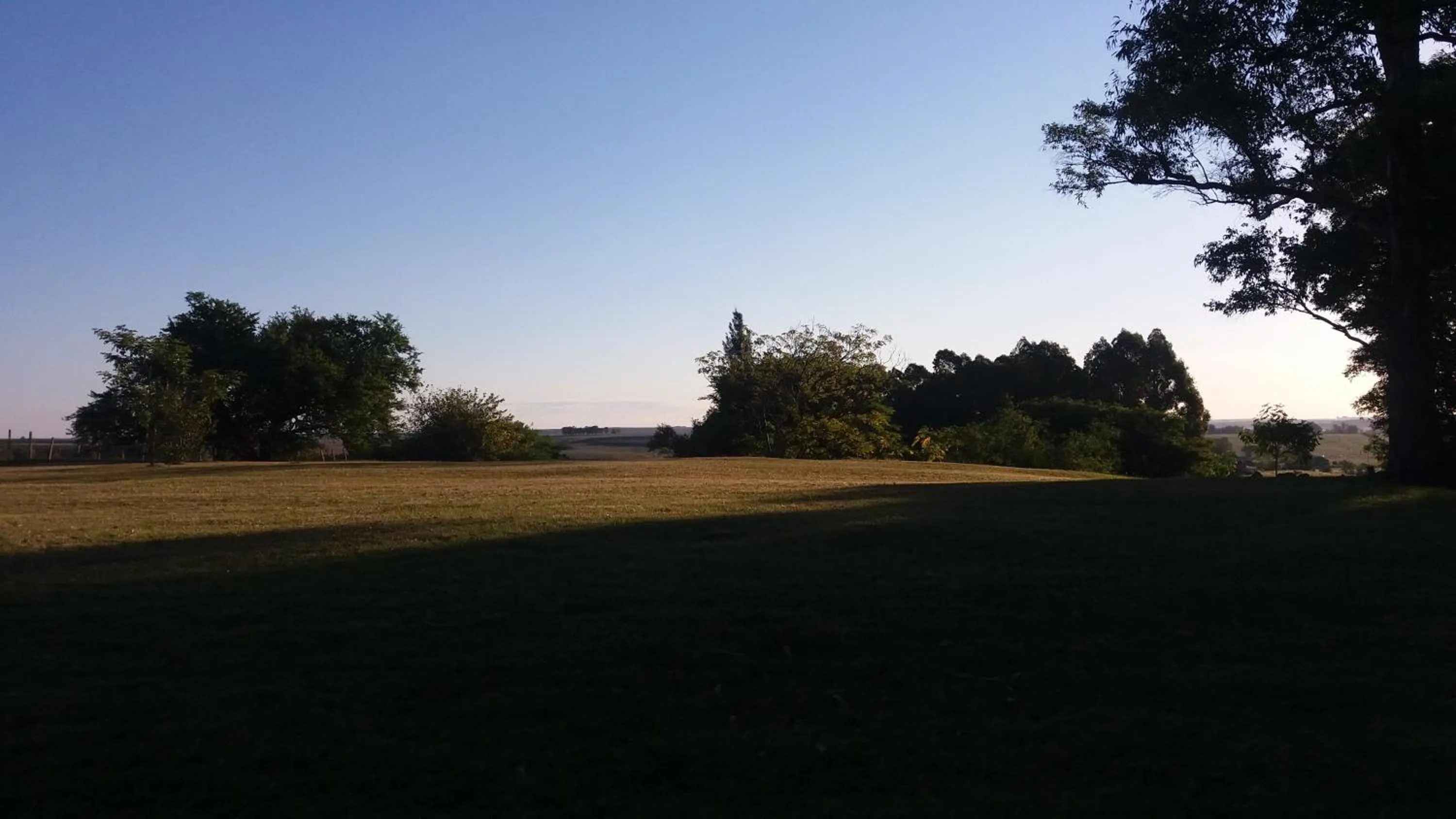 Garden in Alquimia Posada