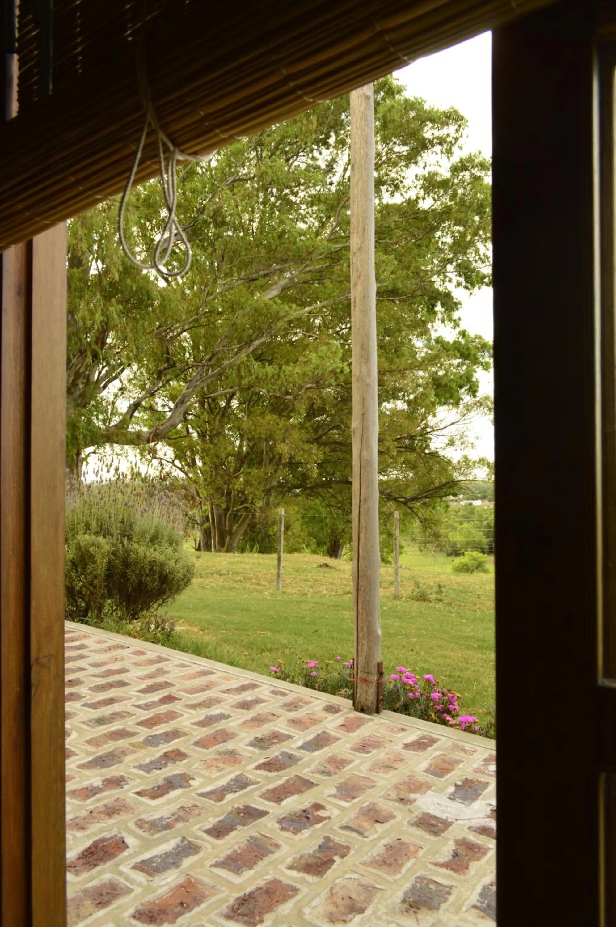 Garden in Alquimia Posada
