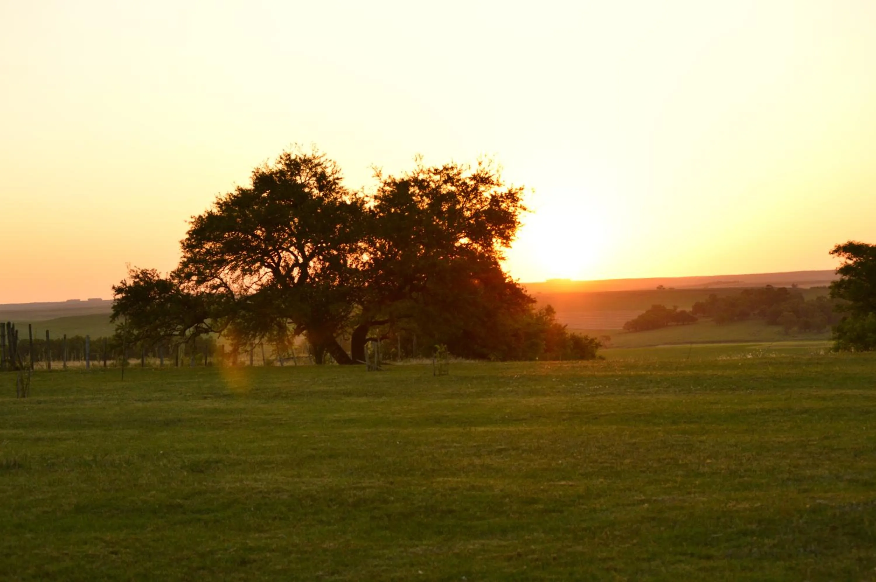 Natural landscape in Alquimia Posada