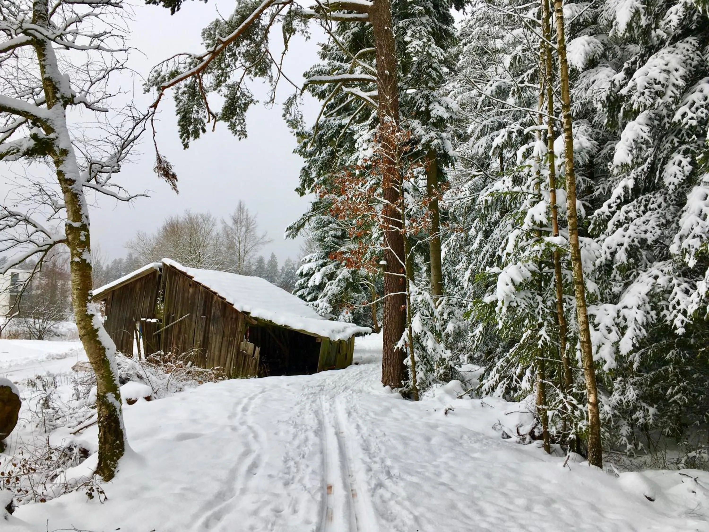 Natural landscape in Haus am Kurpark